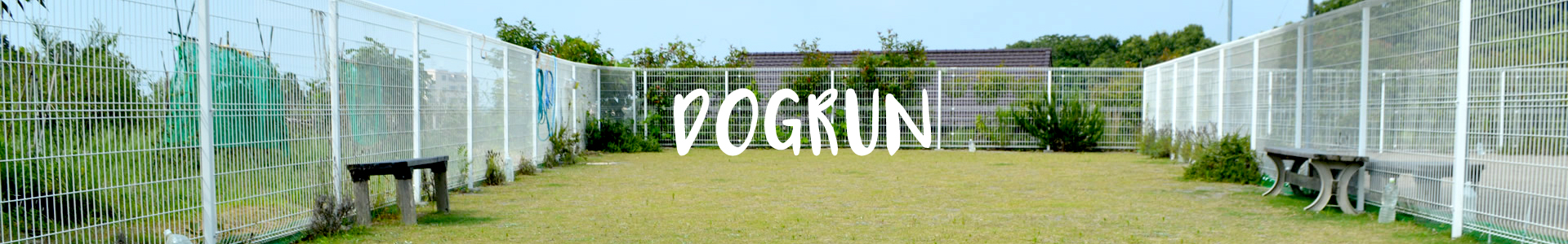 DOGRUN