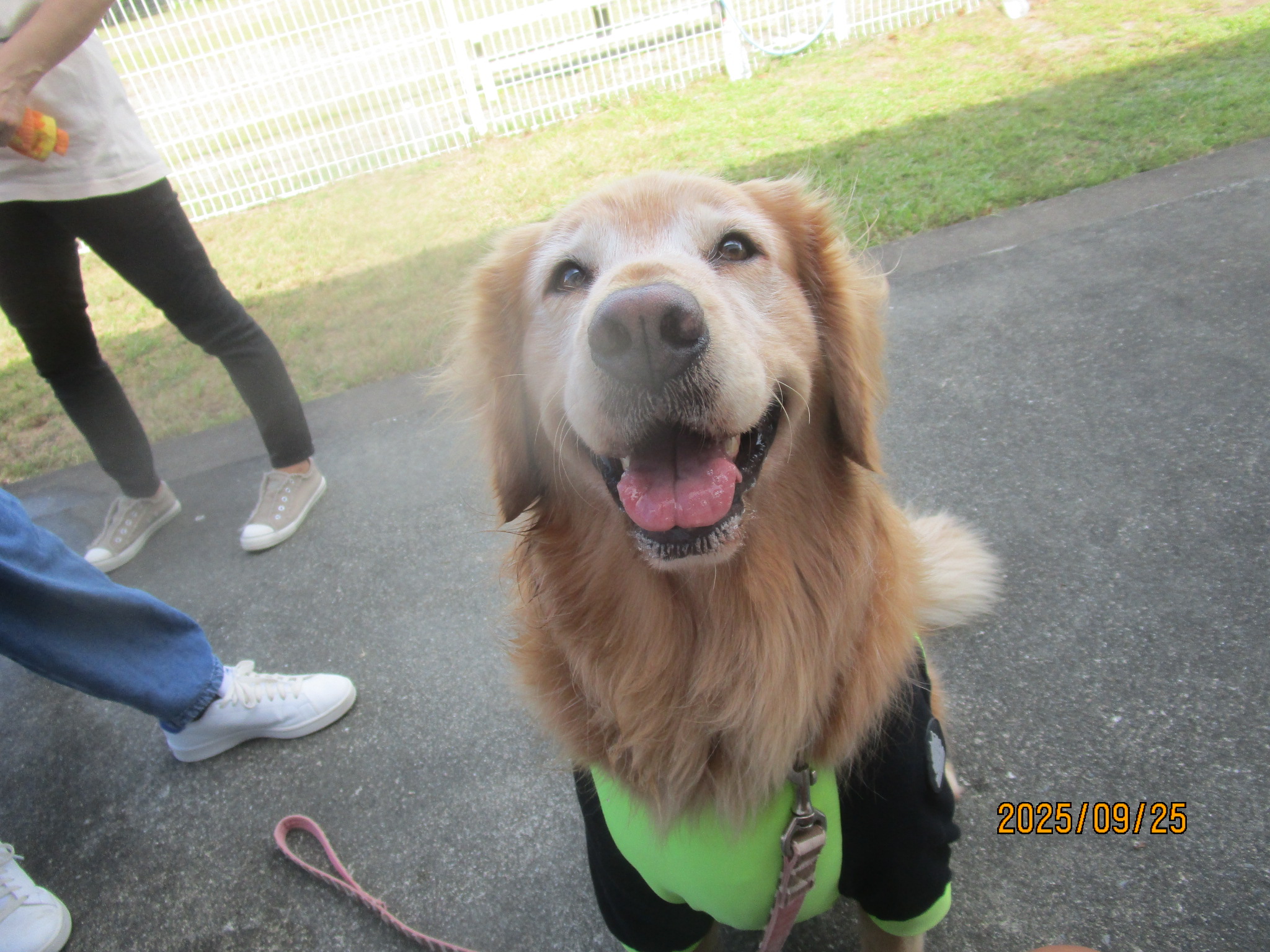 キラ（光）ちゃん