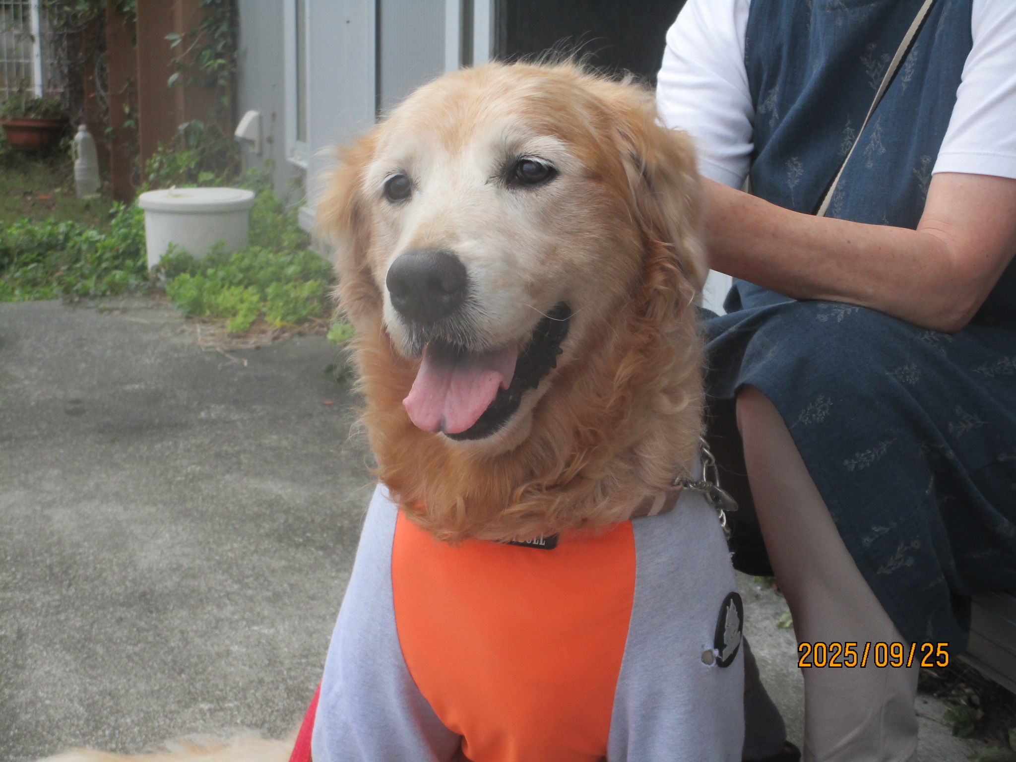 ハル（春）ちゃん