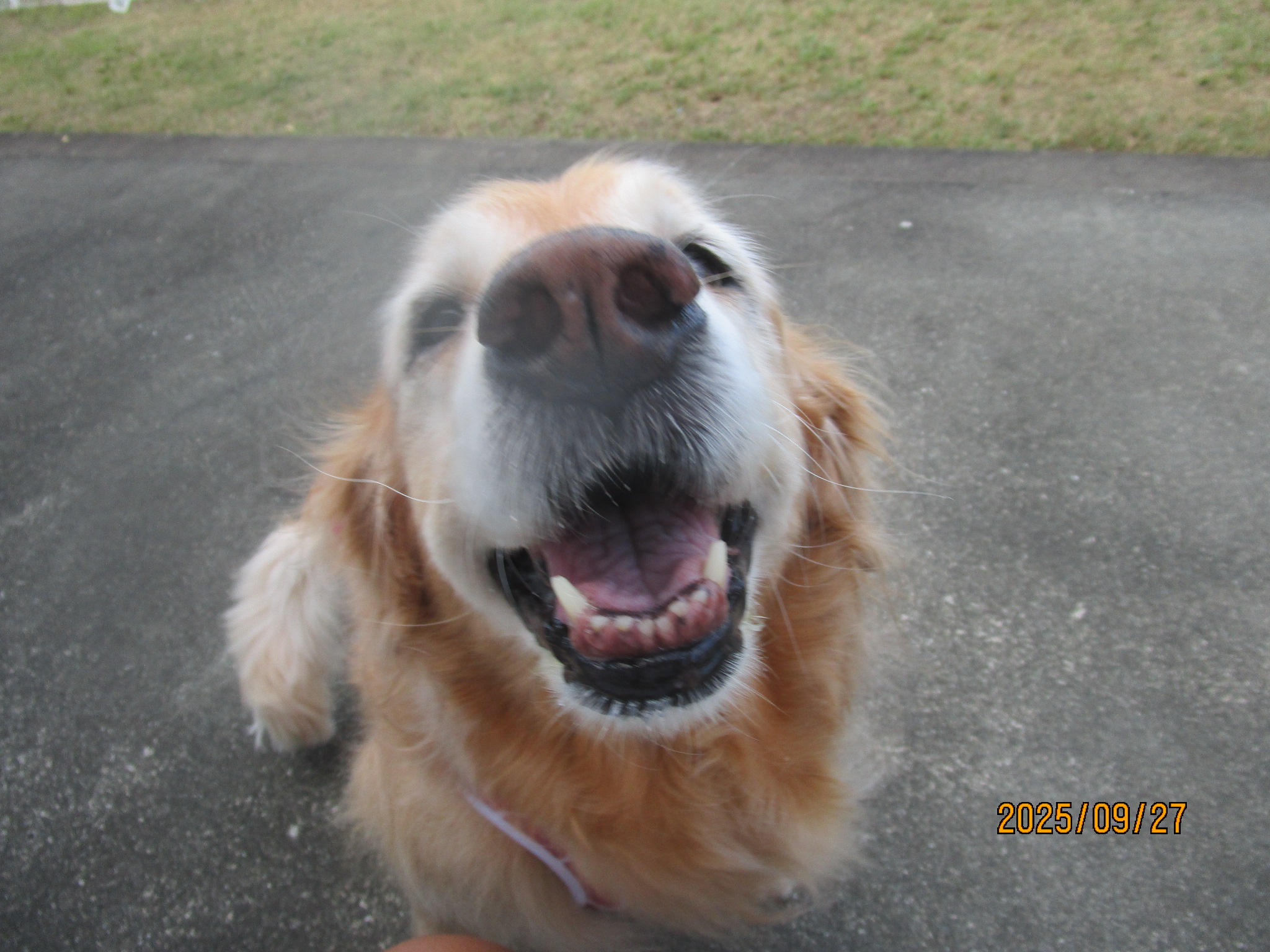 ももちゃん（Ⅴ）