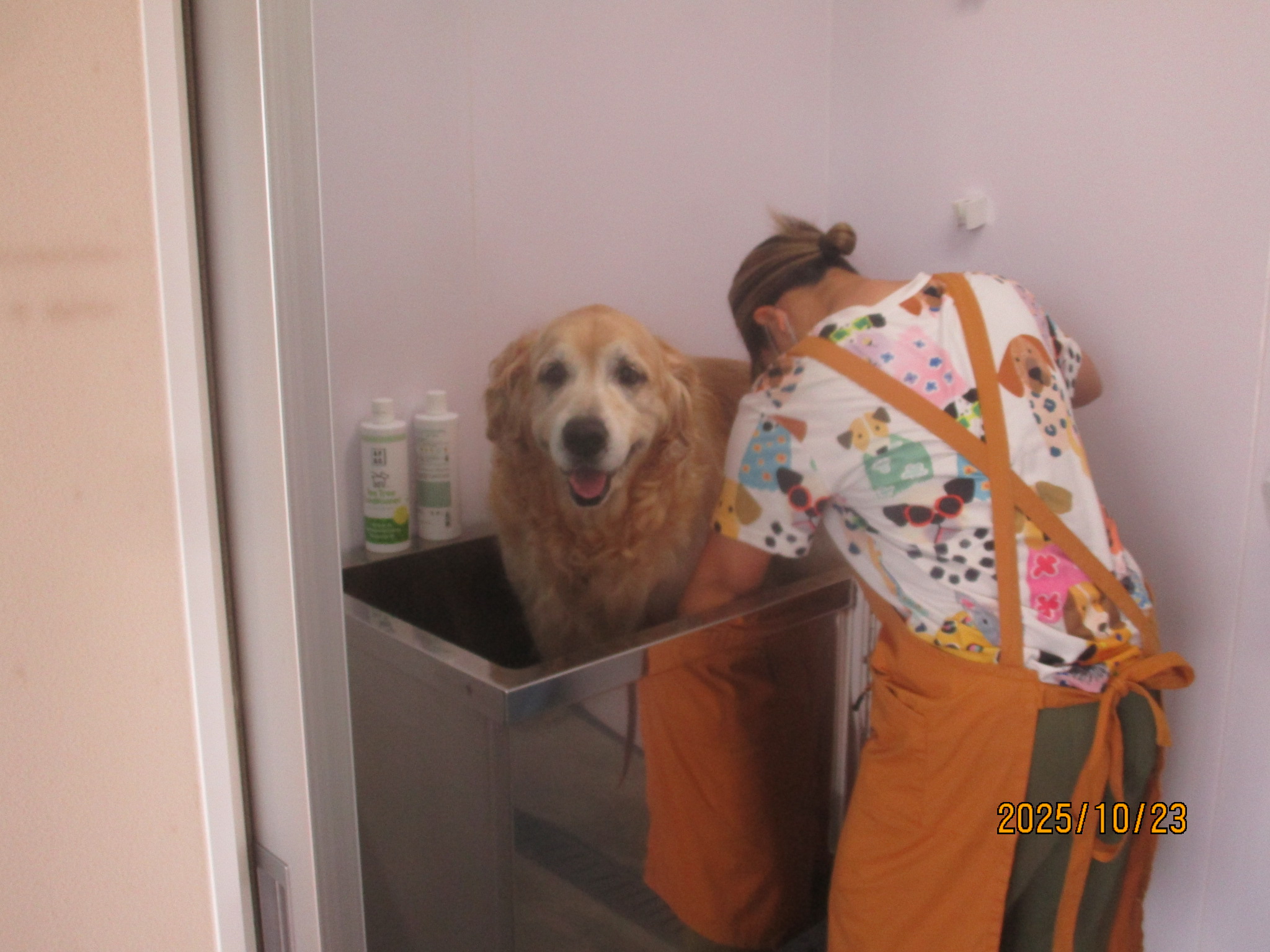 大和くん（Ⅴ）