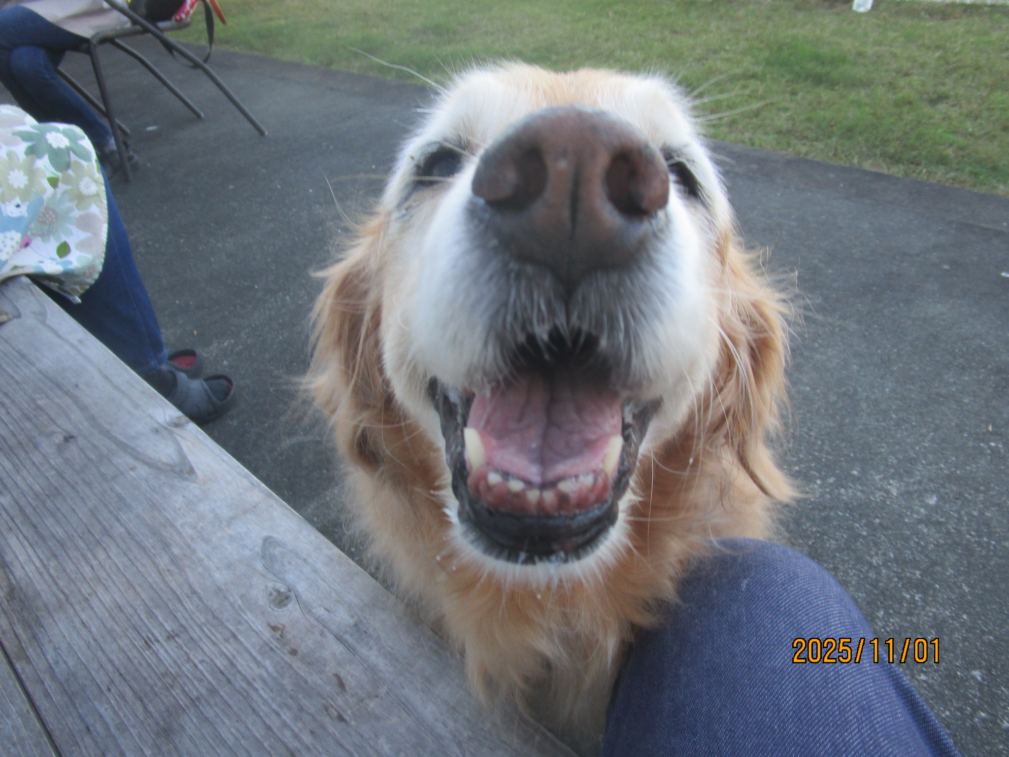 ももちゃん（Ⅴ）