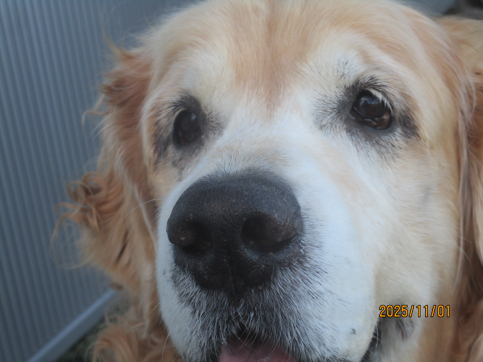 大和くん（Ⅴ）