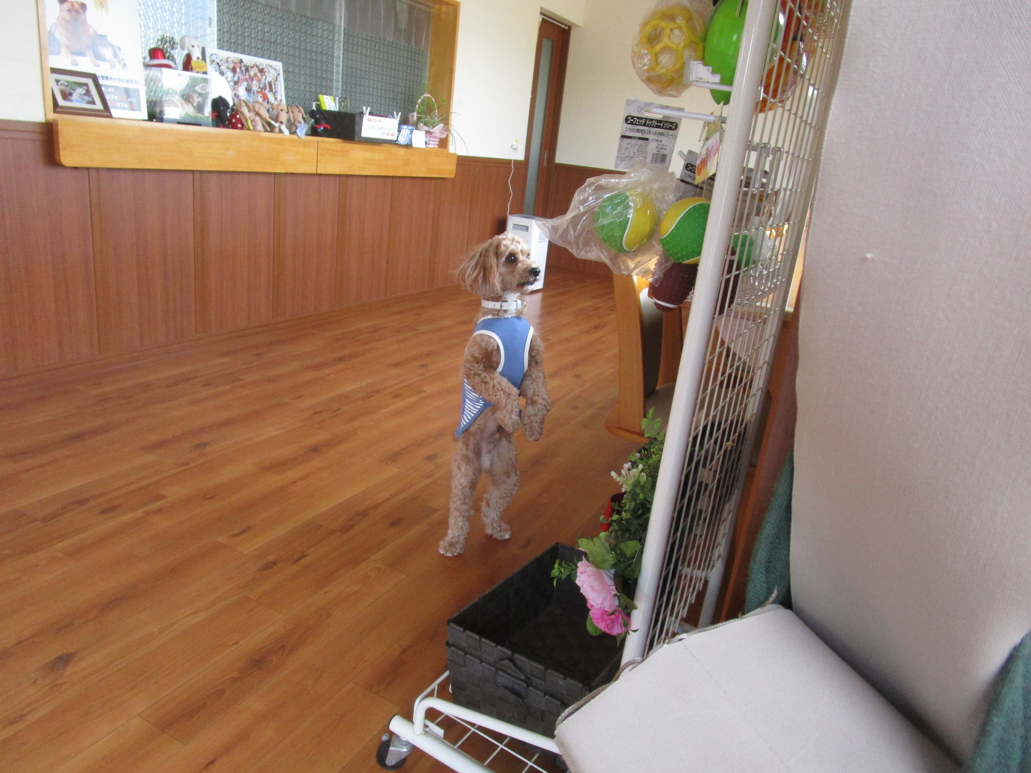 ライトくん（３）