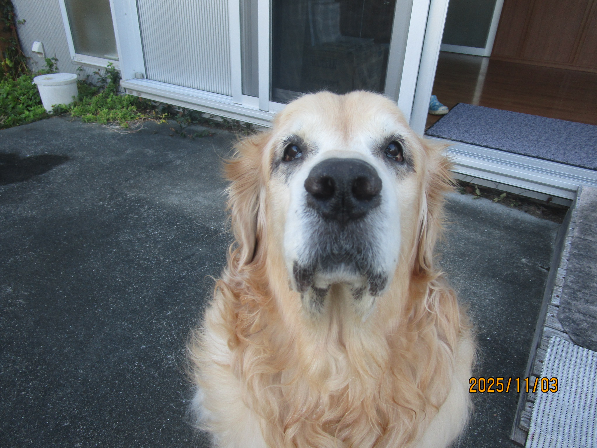 大和くん（Ⅴ）