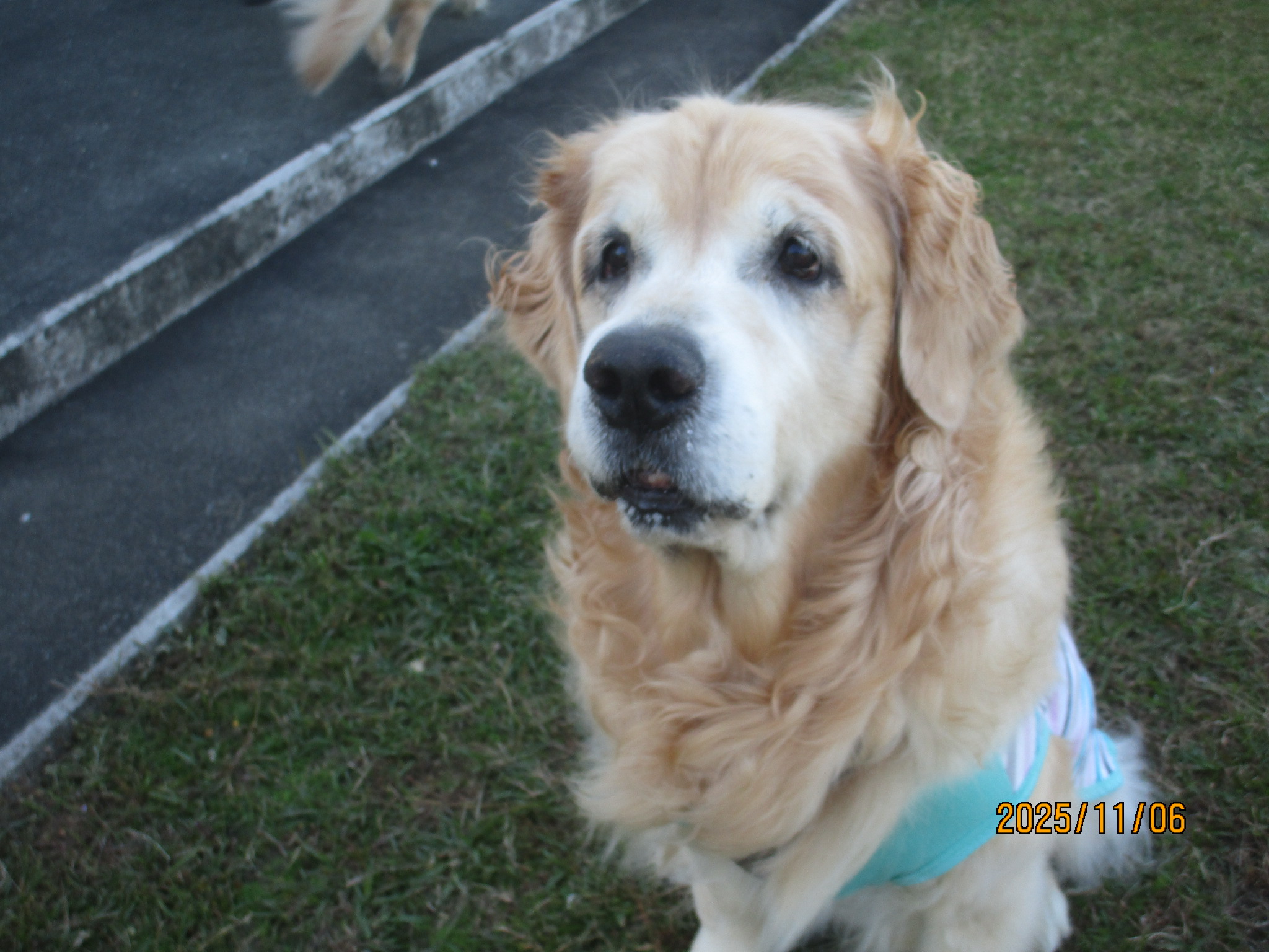 大和くん（Ⅴ）