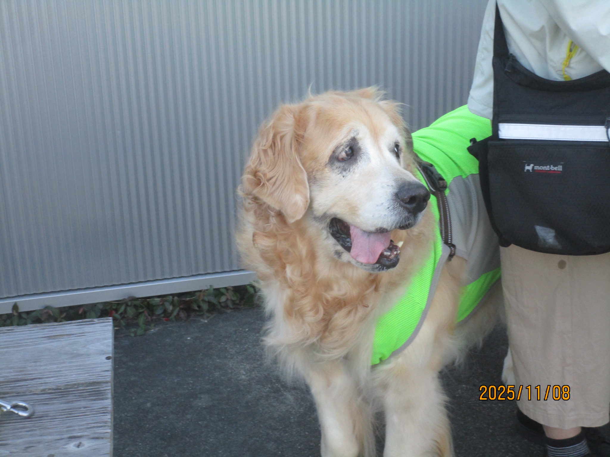 大和くん（Ⅴ）