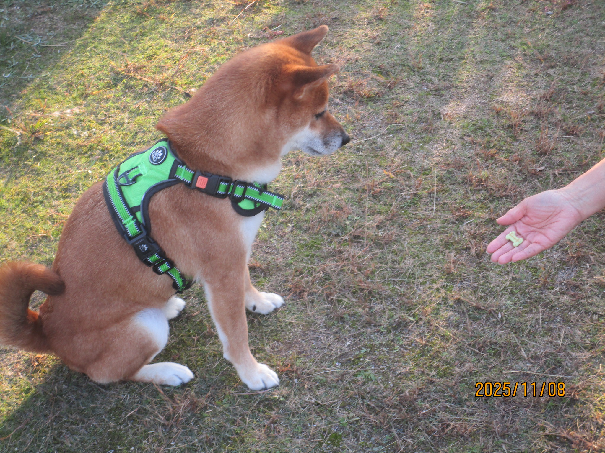 まるおくん（２０）