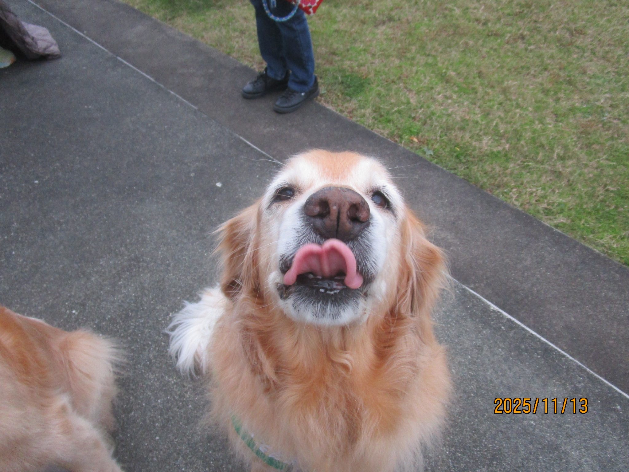 ももちゃん（Ⅴ）