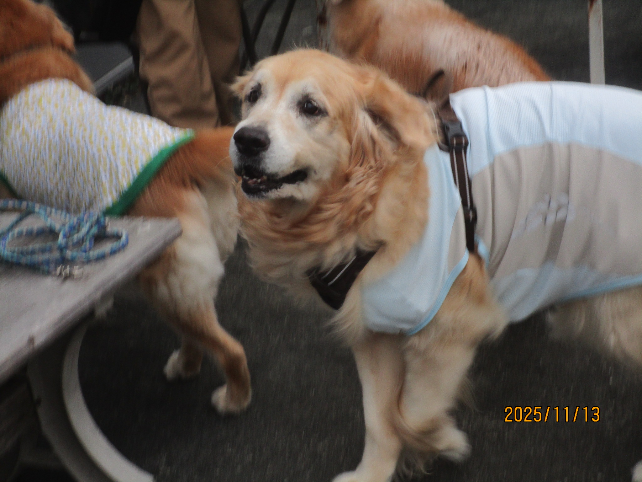 大和くん（Ⅴ）