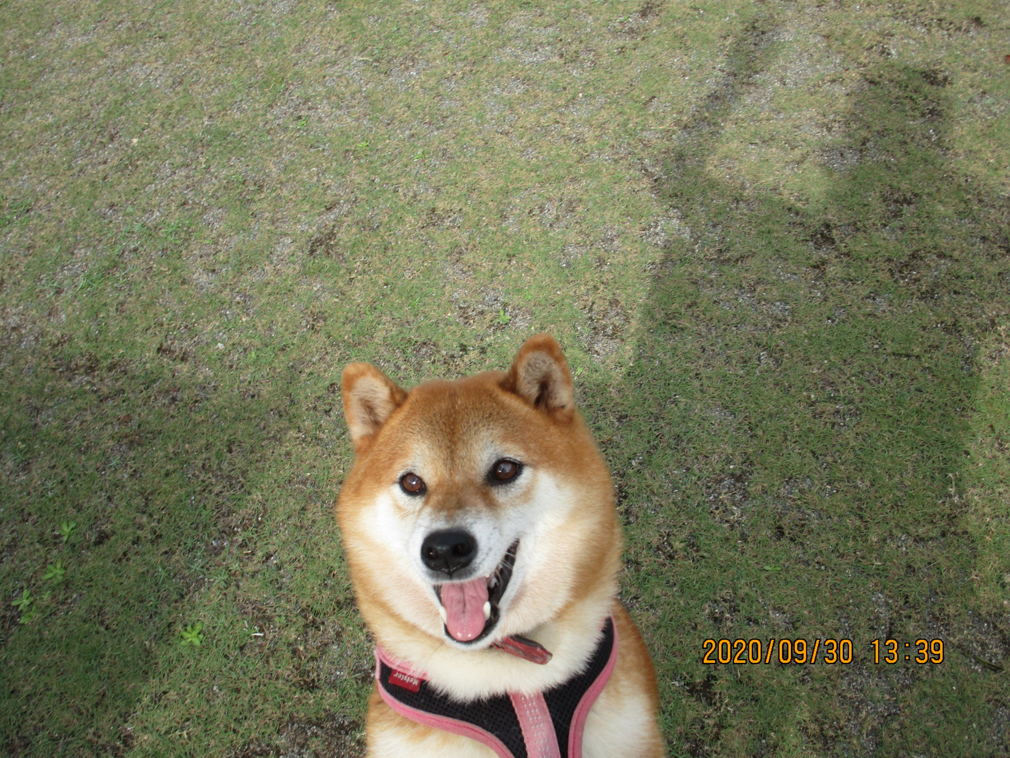 A・ナナちゃん（18）（H・7）