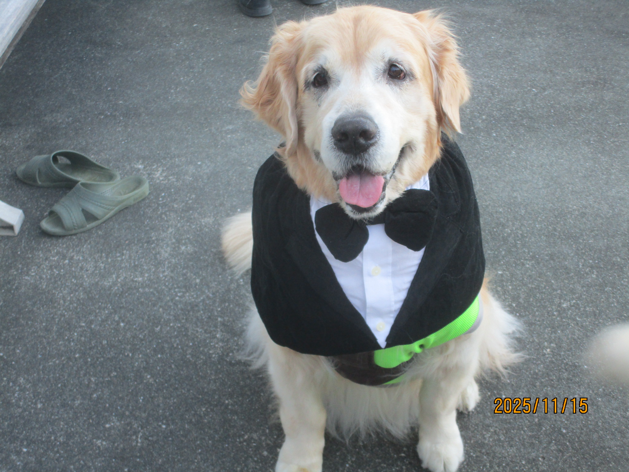 大和くん(Ⅴ) 大和くん(Ⅴ)