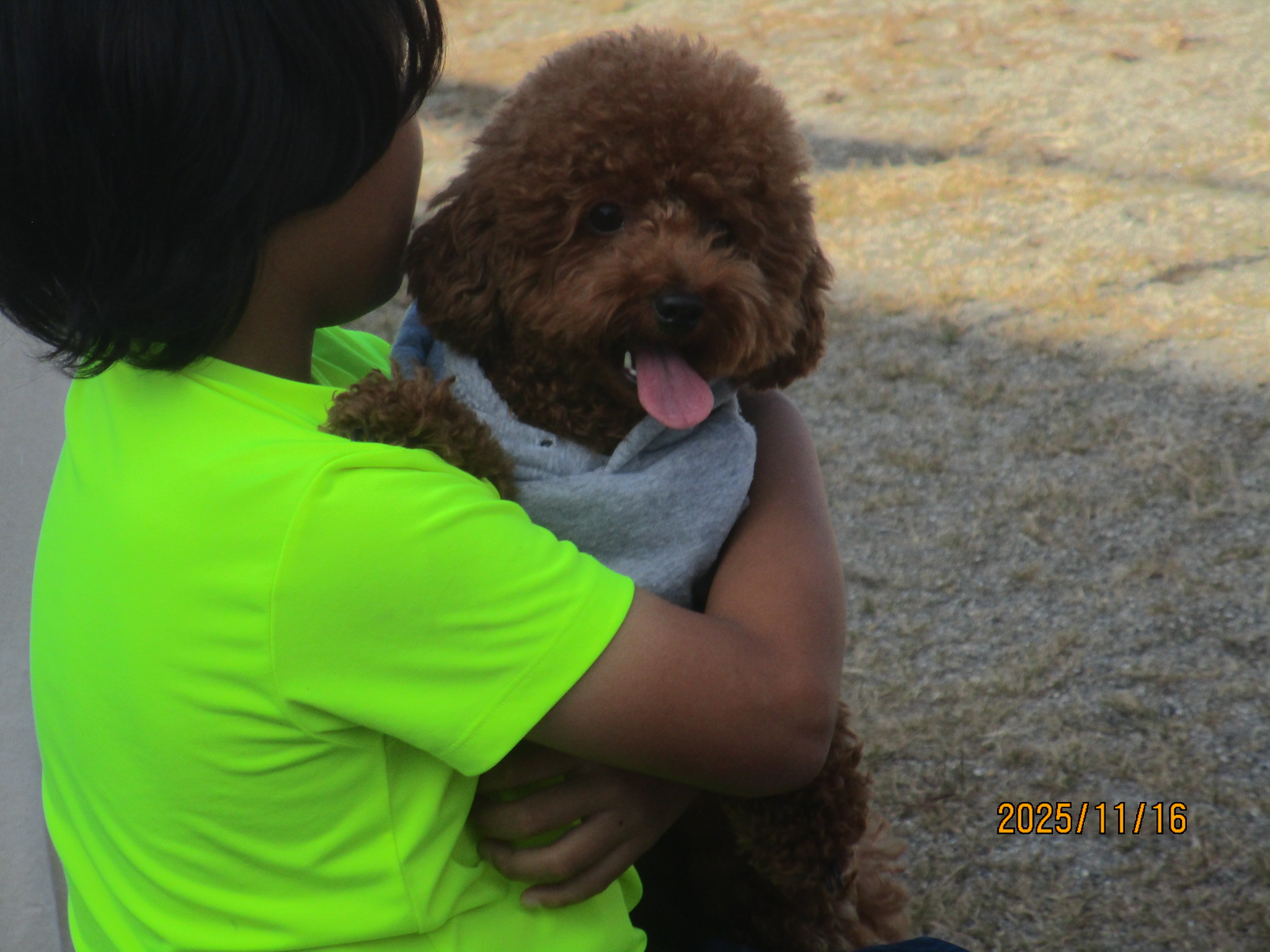 むぎちゃん むぎちゃん