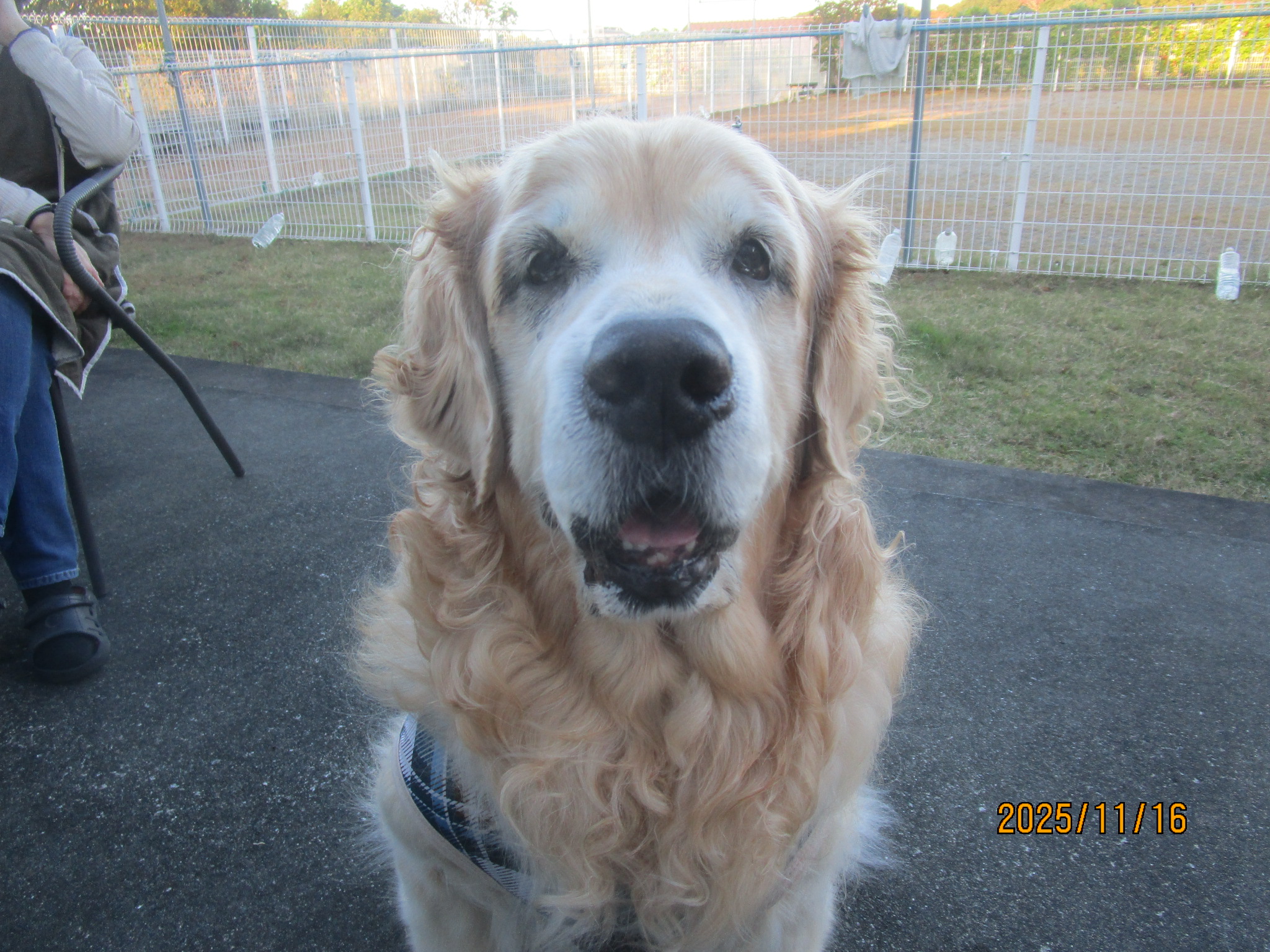 大和くん(Ⅴ) 大和くん(Ⅴ)