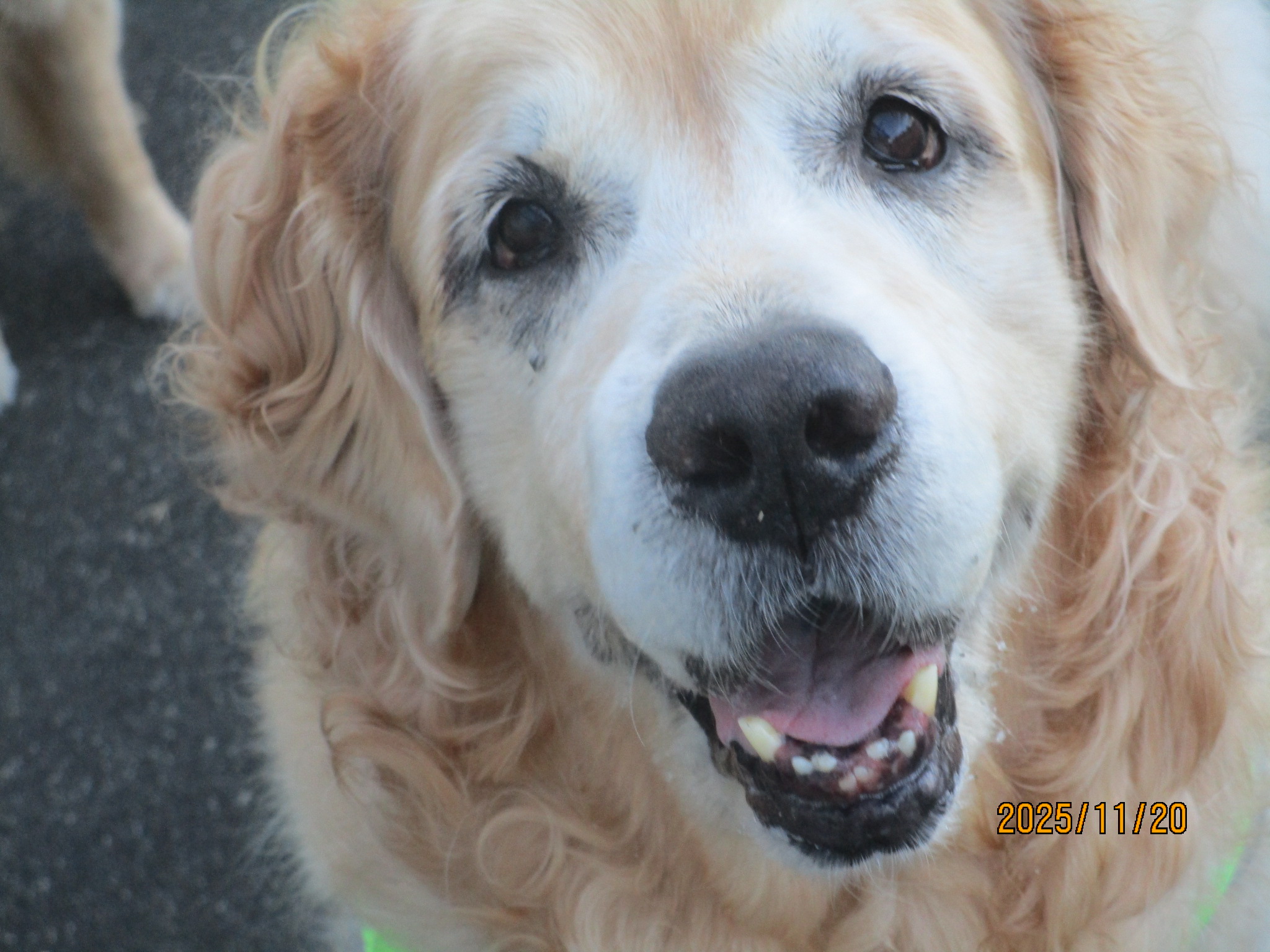 大和くん（Ⅴ）