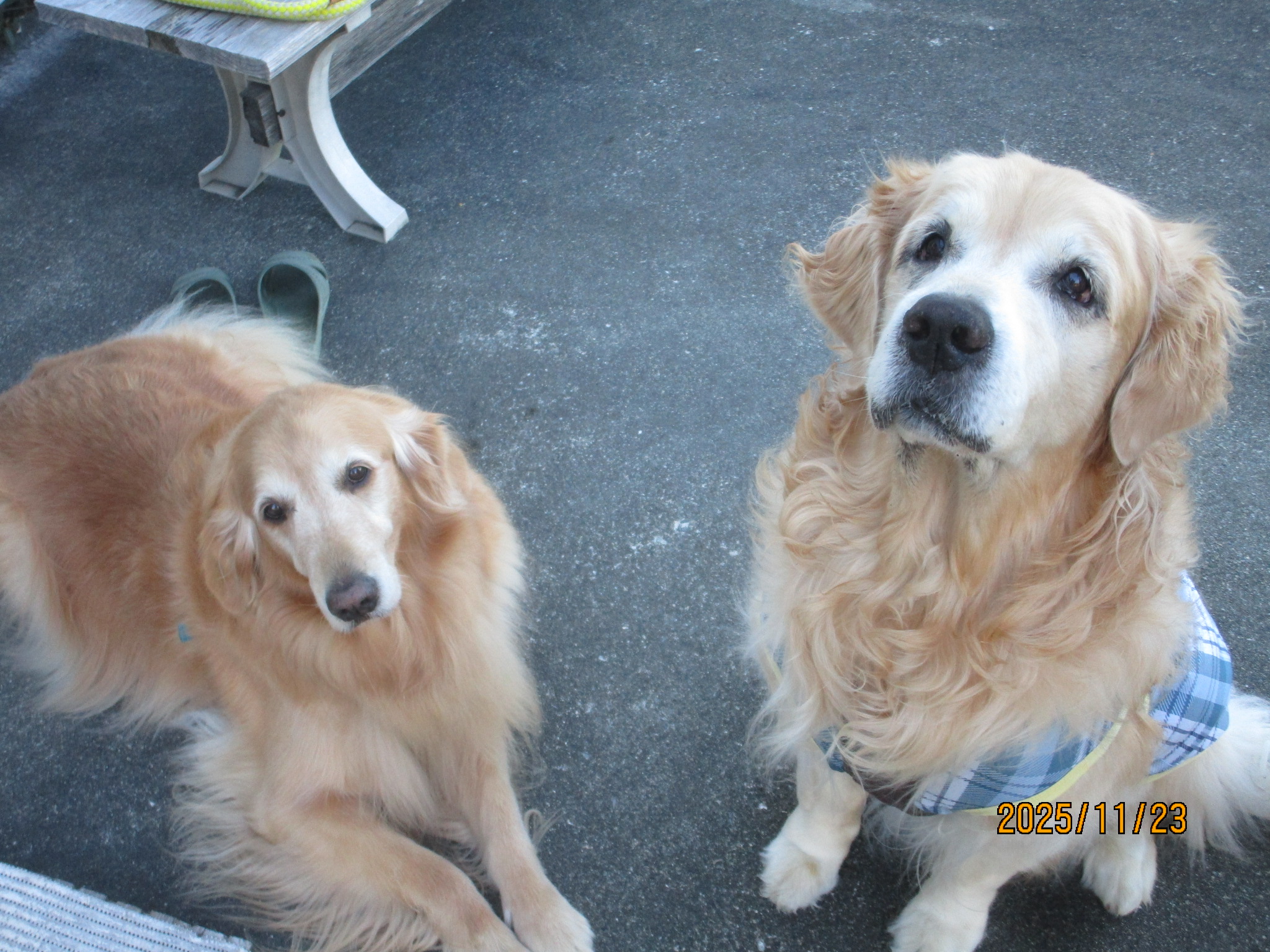 大和くん(Ⅴ) 大和くん(Ⅴ)