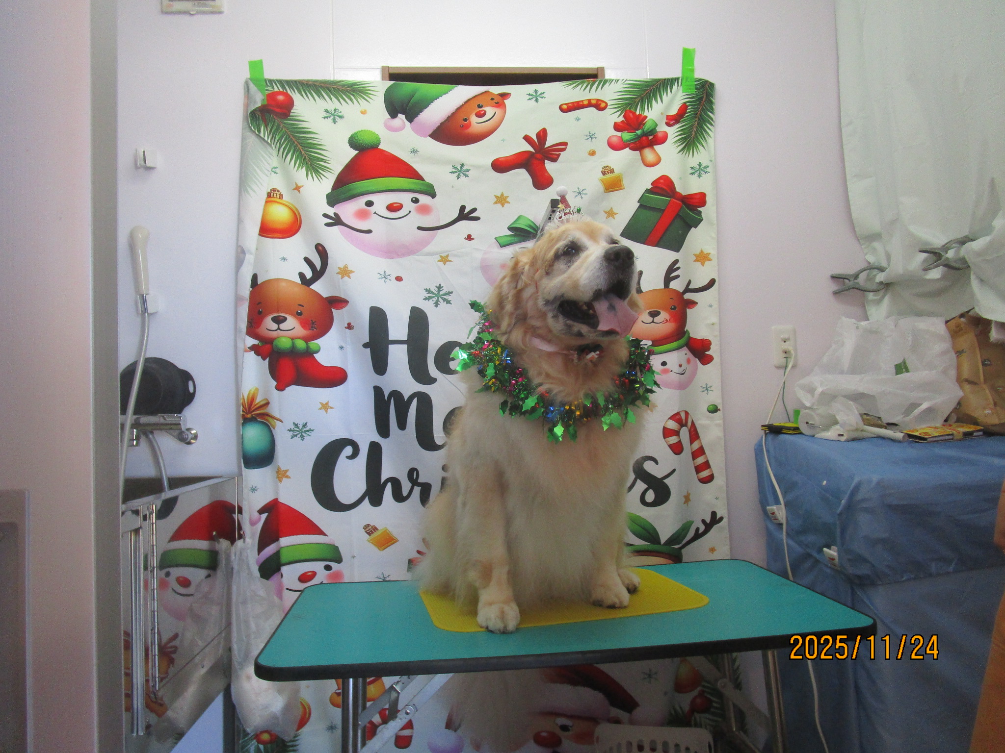 大和くん(Ⅴ) 大和くん(Ⅴ)