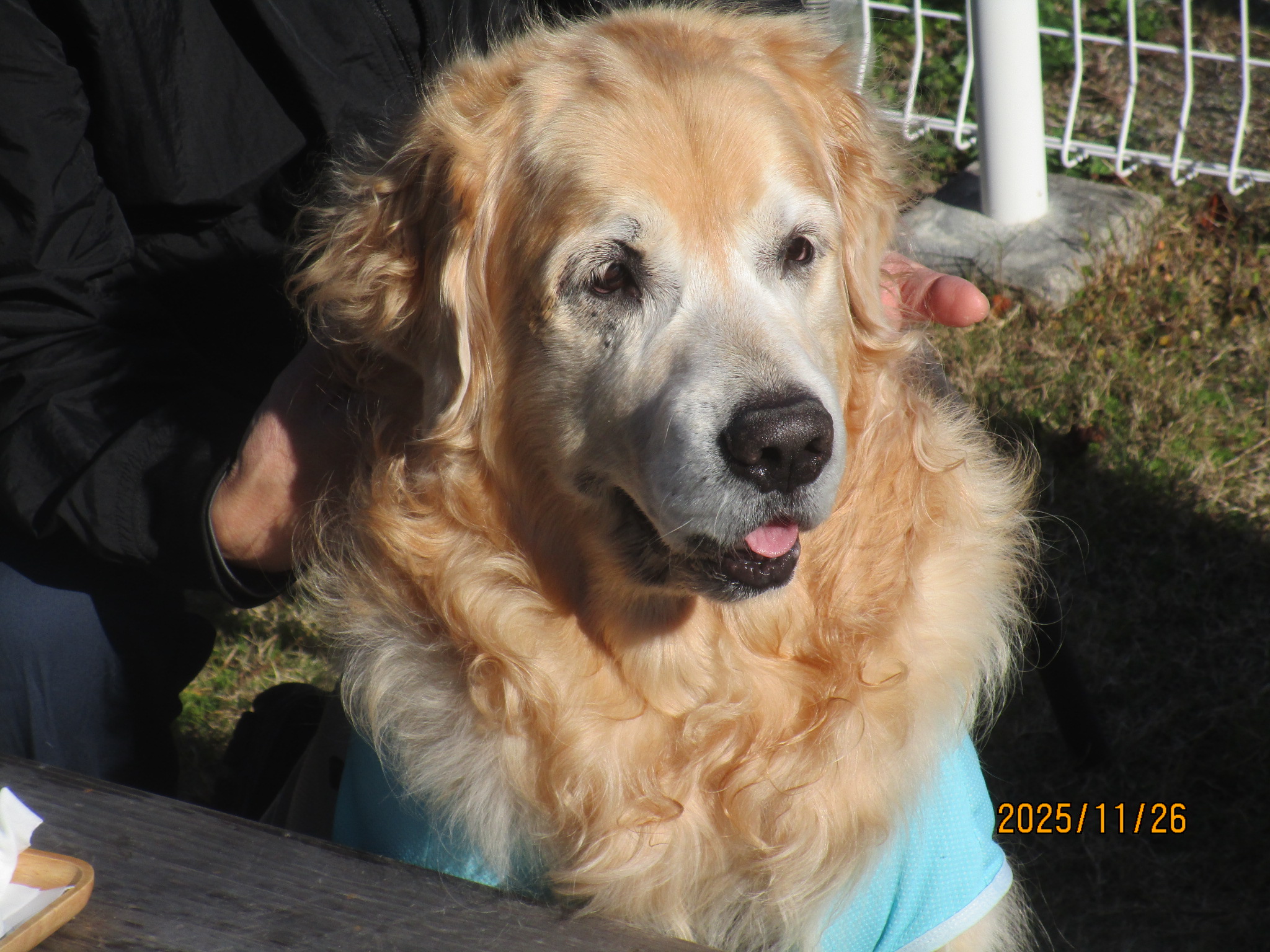 大和くん(Ⅴ) 大和くん(Ⅴ)