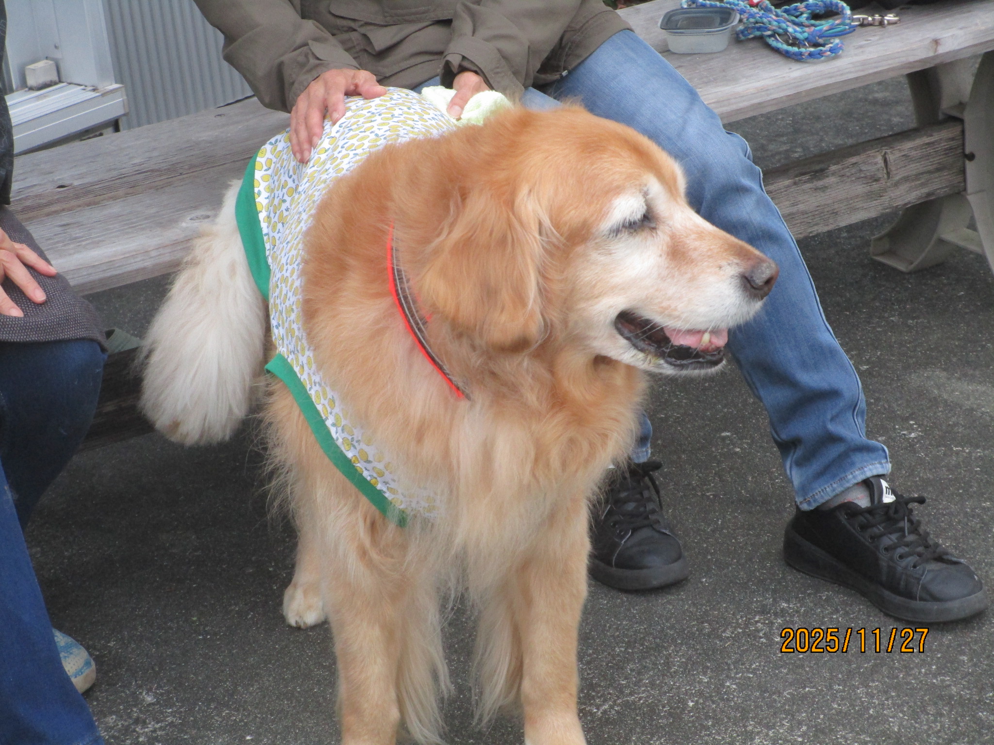 ももちゃん（Ⅴ）