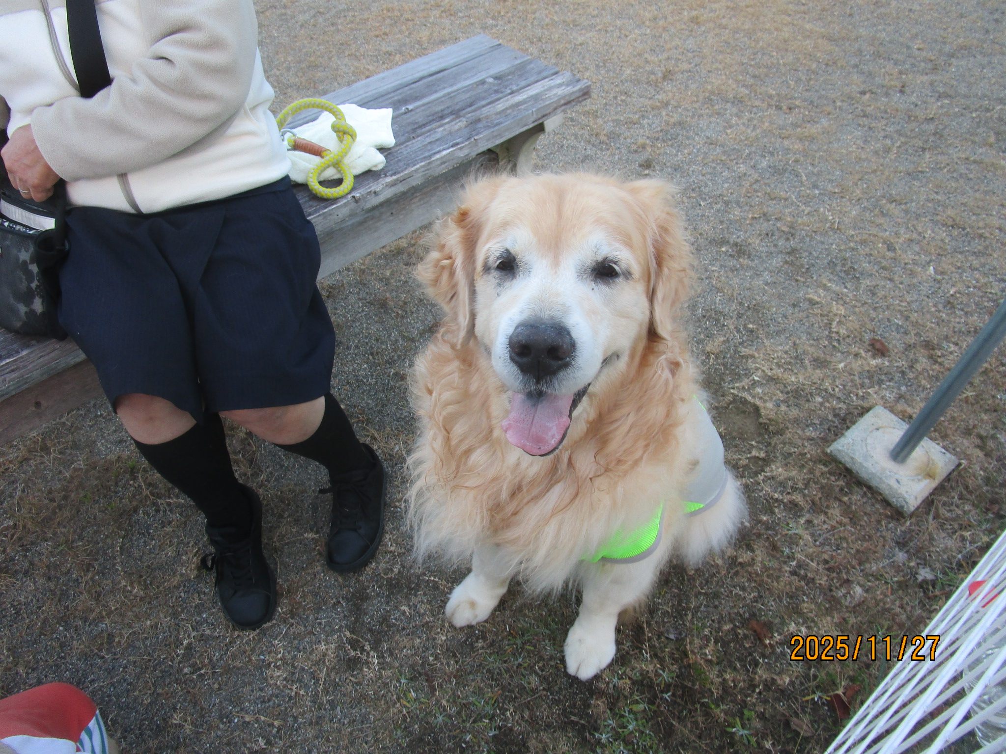 大和くん（Ⅴ）