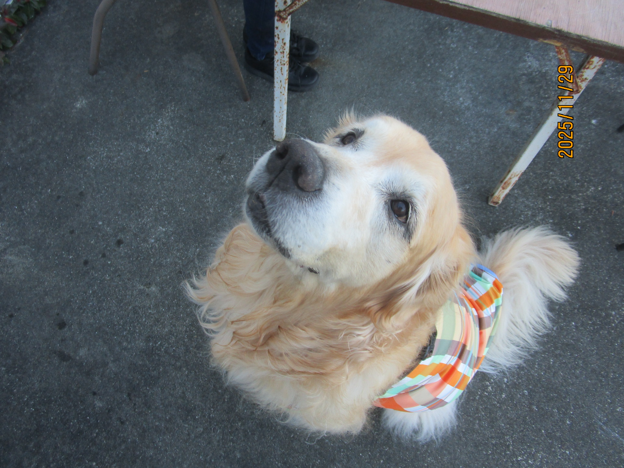 大和くん（Ⅴ）