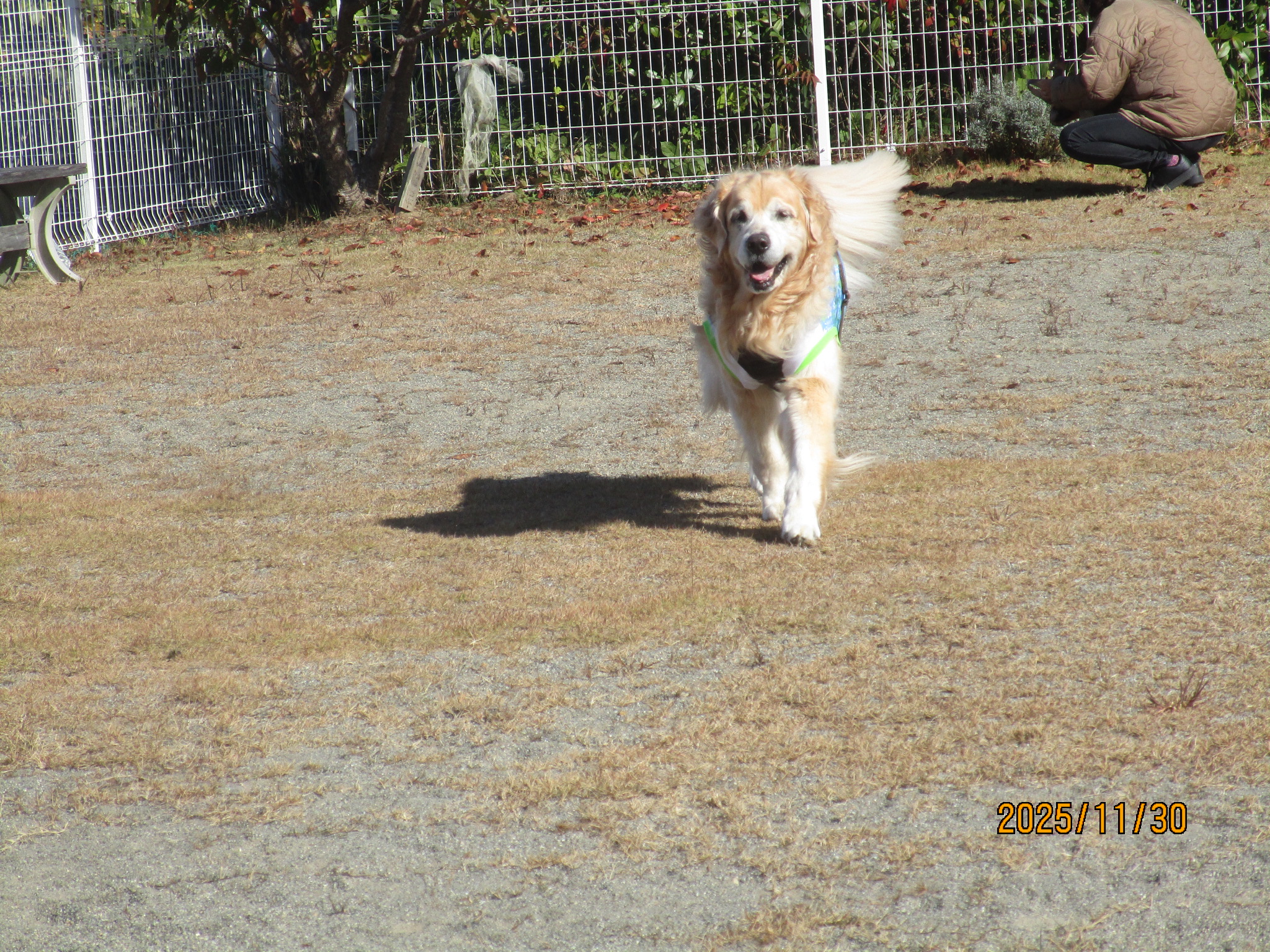 大和くん（Ⅴ）