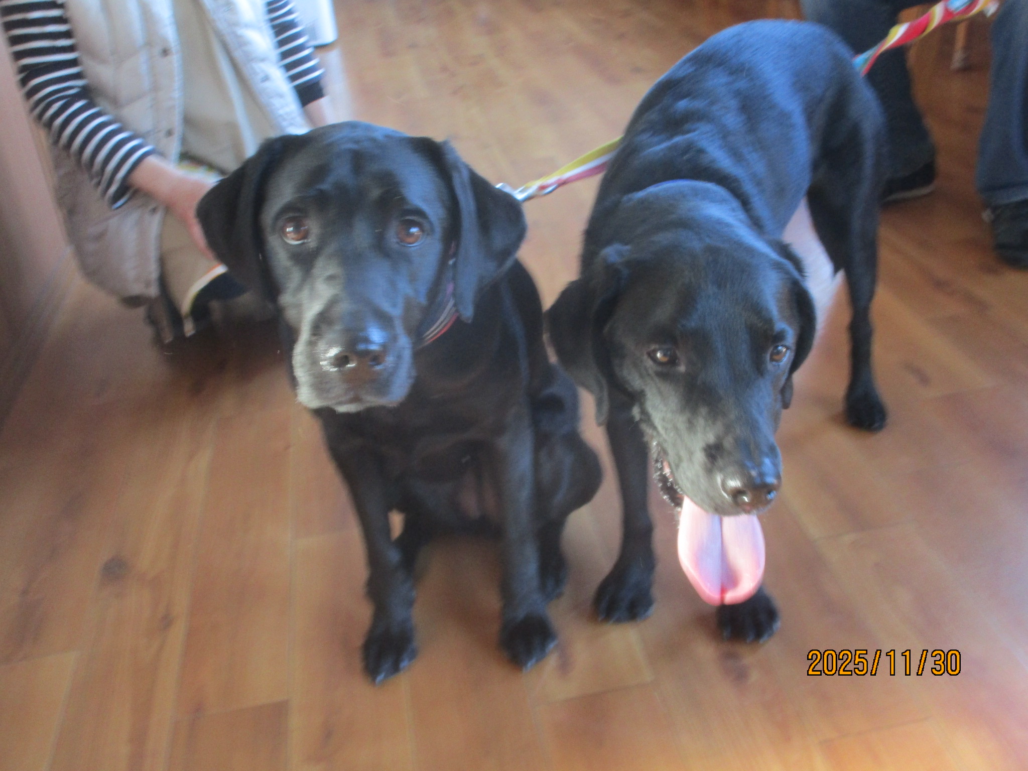 ビスタくん（４）＆オクラちゃん（２）