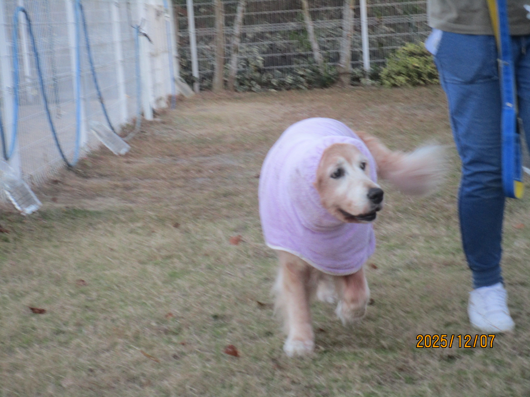 はなちゃん（２）