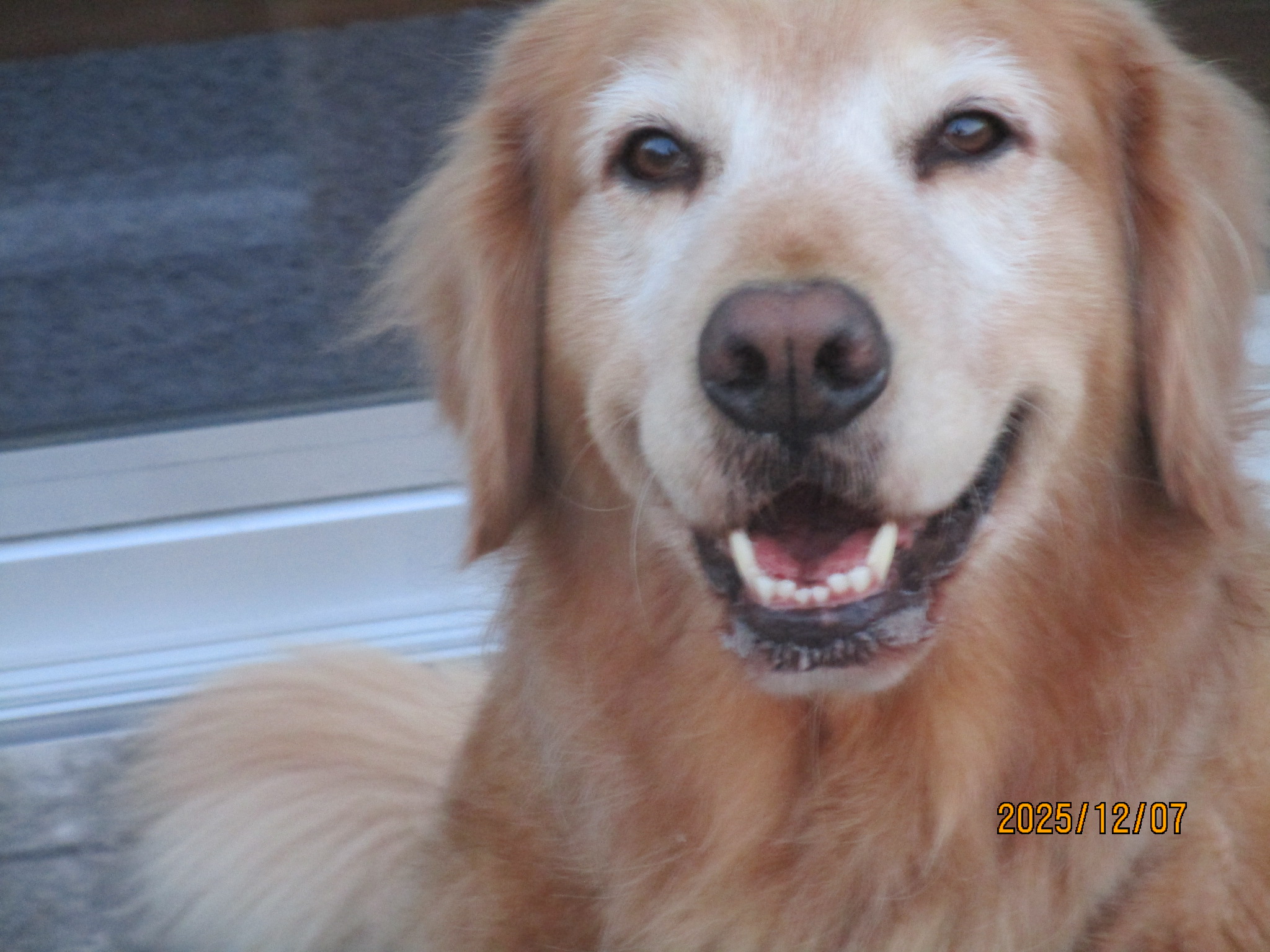 きらちゃん（２）