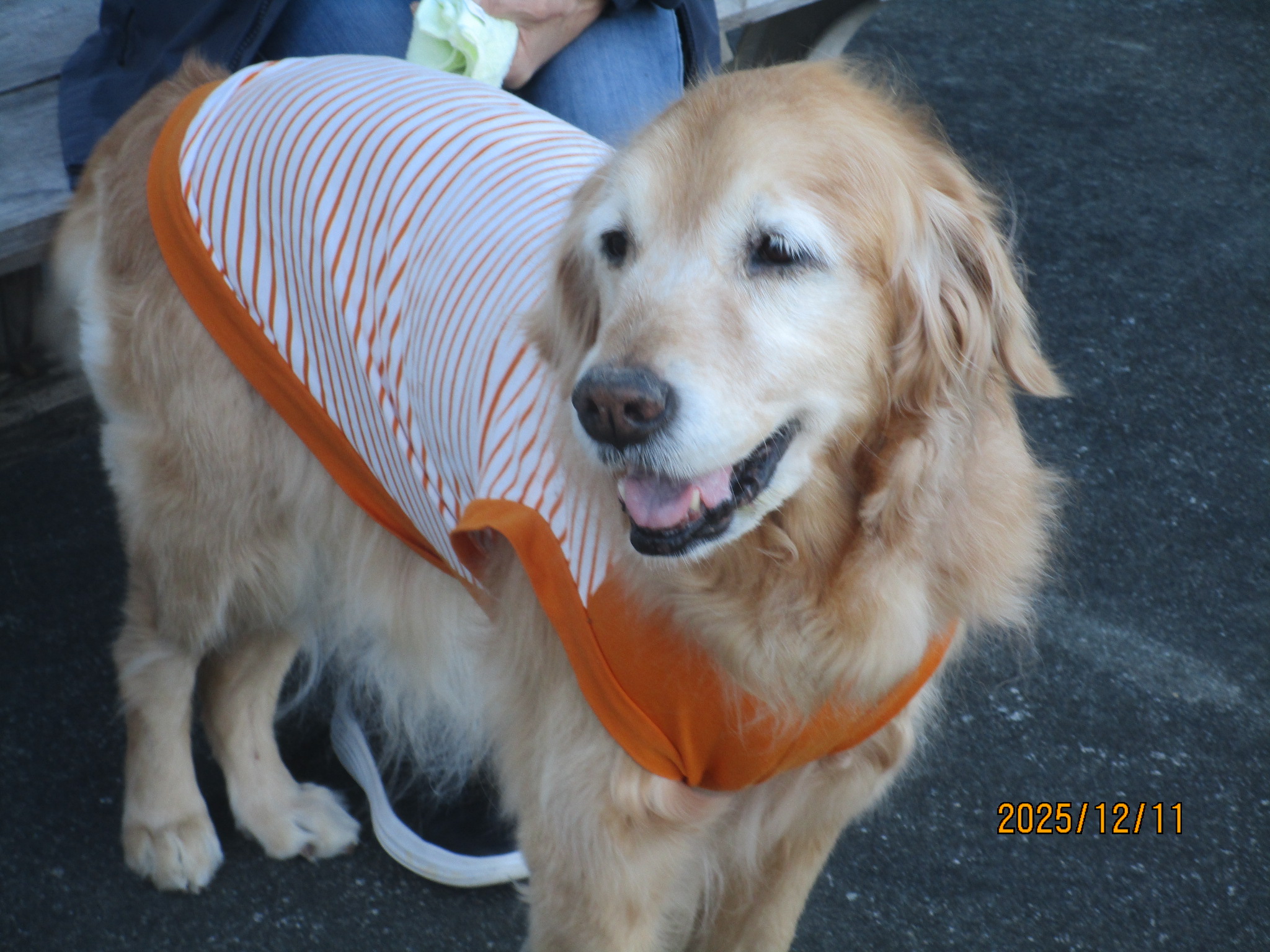 ももちゃん（Ⅴ）