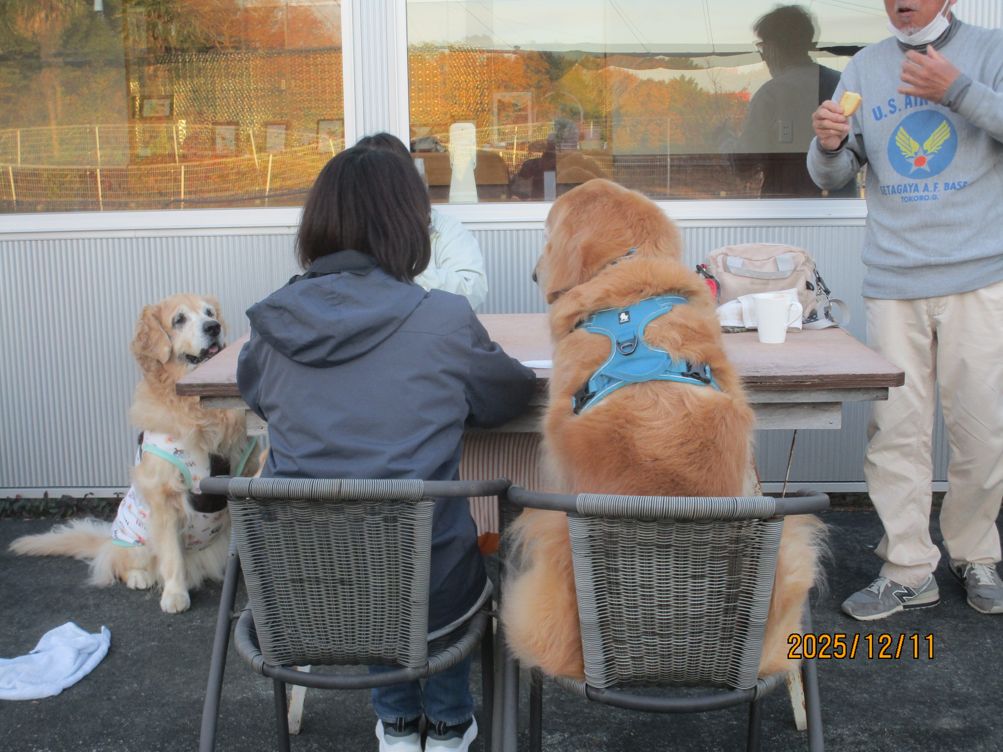 ハリーくん（Ｖ）