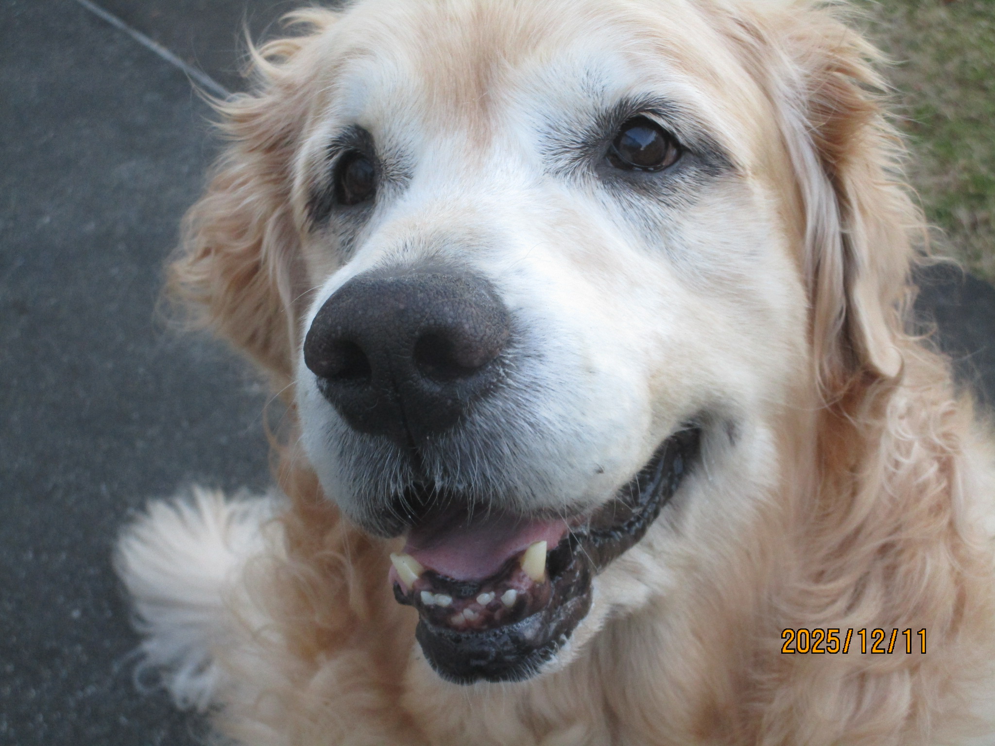 大和くん（Ⅴ）