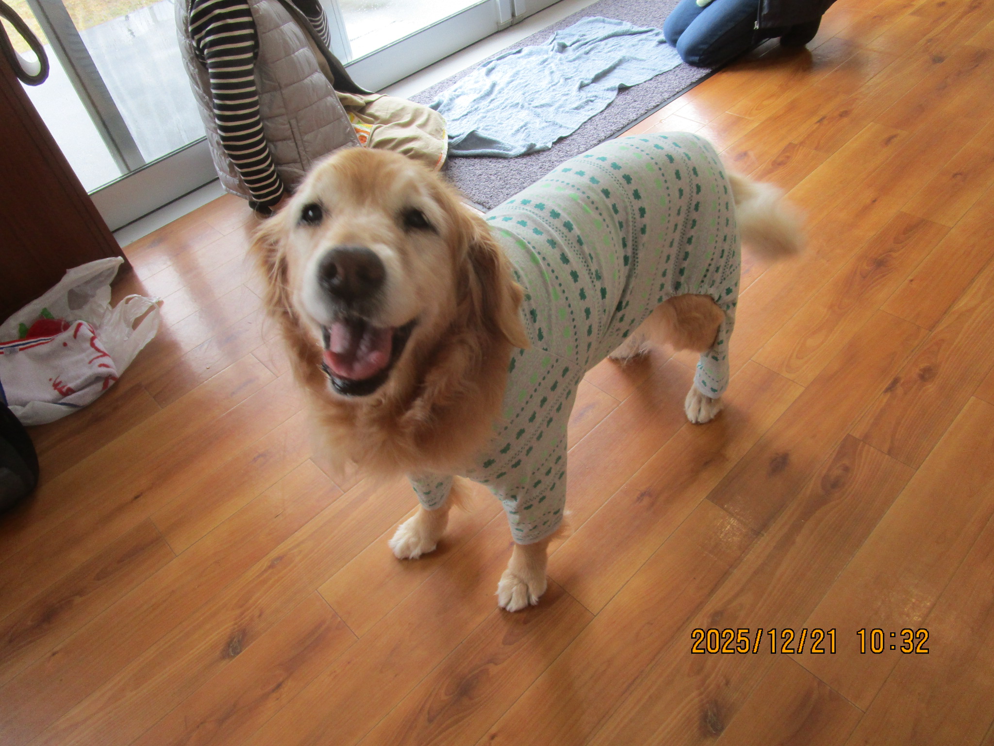 ももちゃん（Ⅴ）