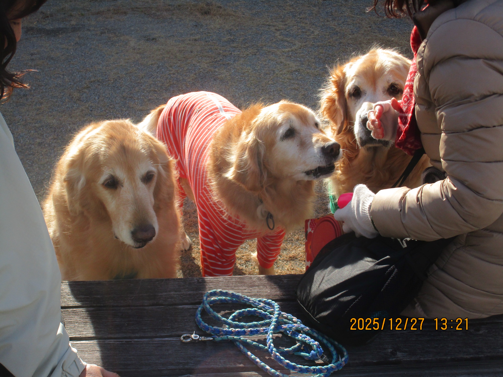 ももちゃん（Ⅴ）