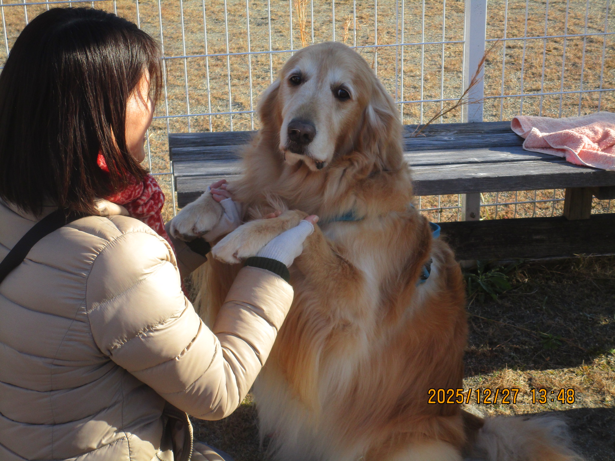 ハリーくん（Ｖ）