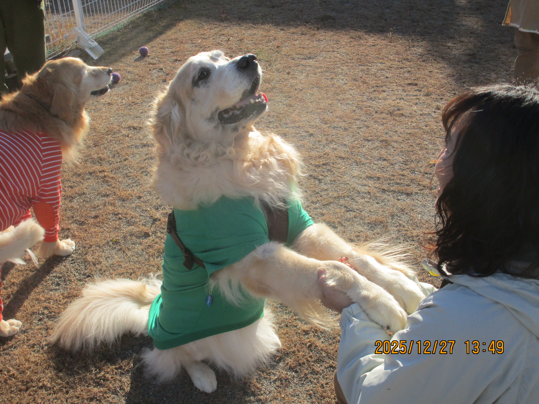 大和くん（Ⅴ）