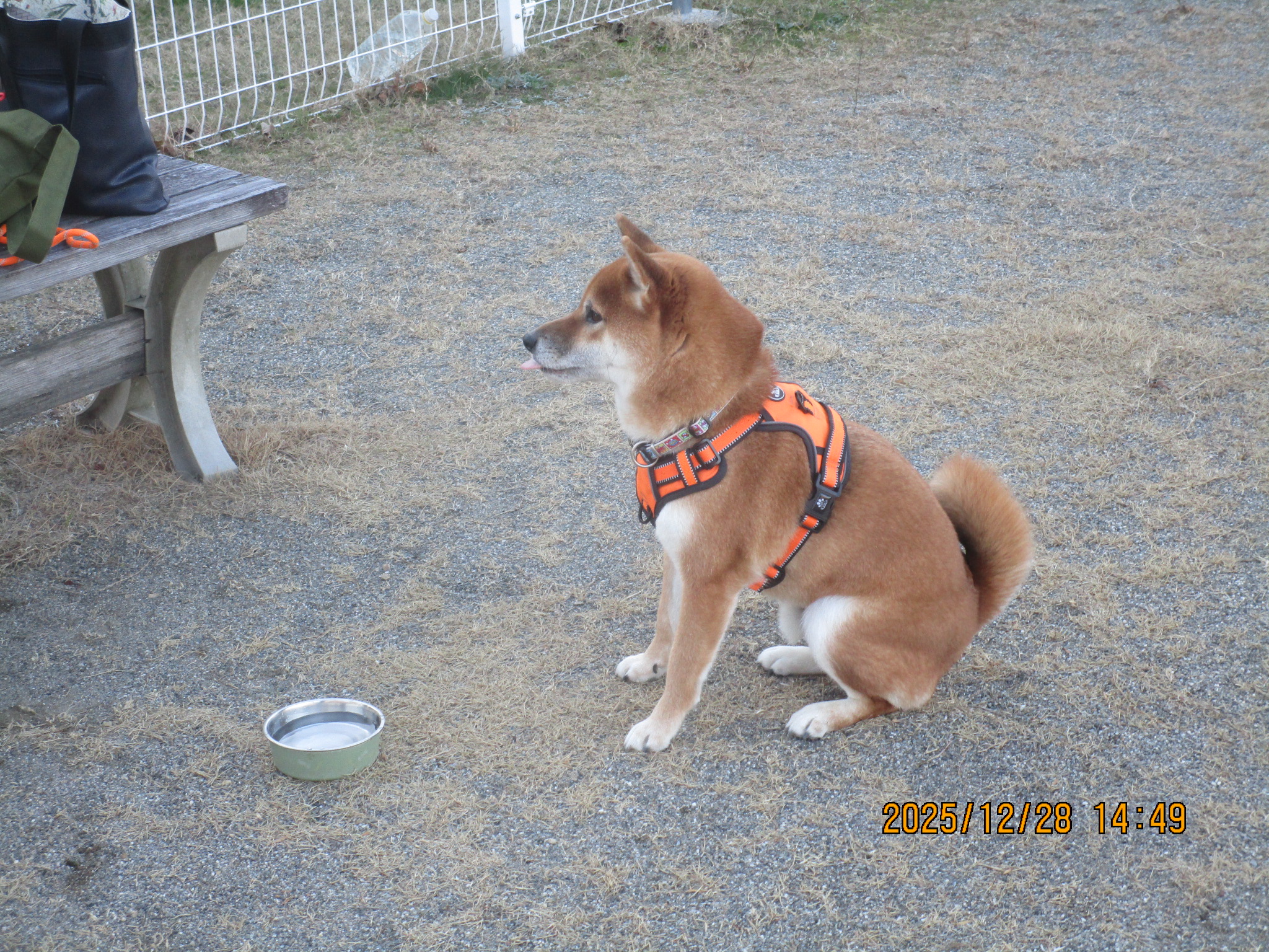 まるおくん（２１）