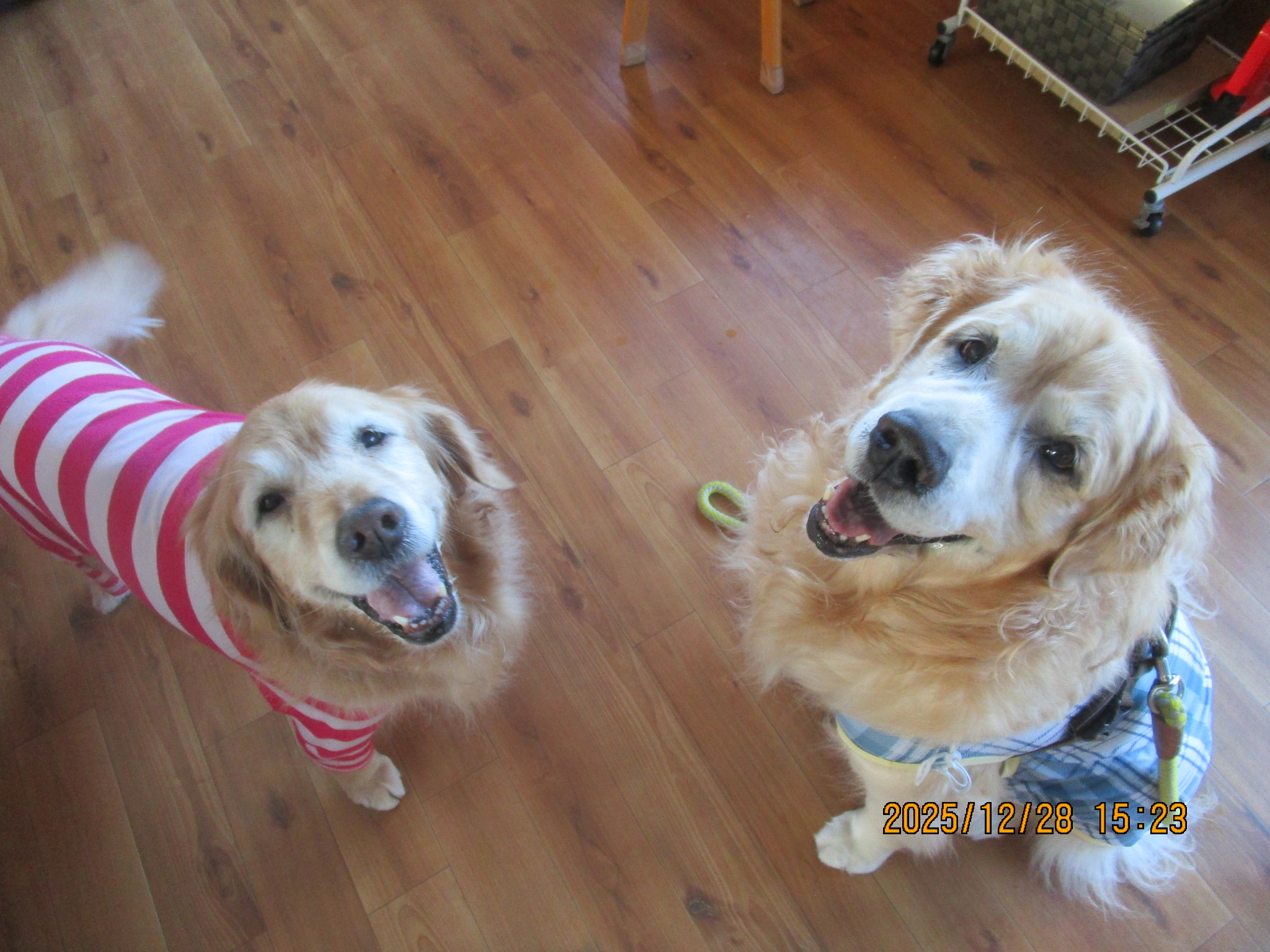 大和くん（Ⅴ）