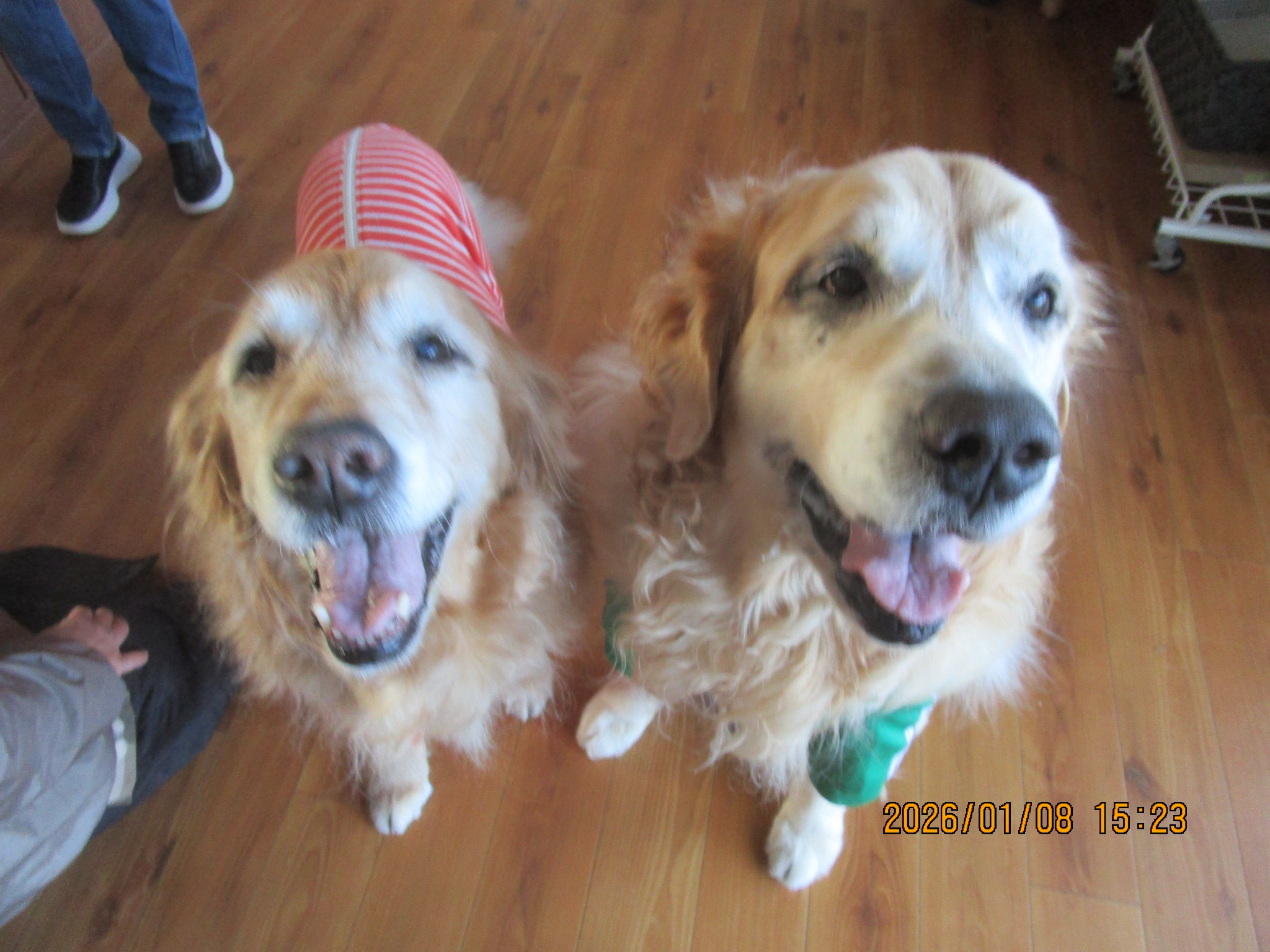 大和くん（Ⅴ）