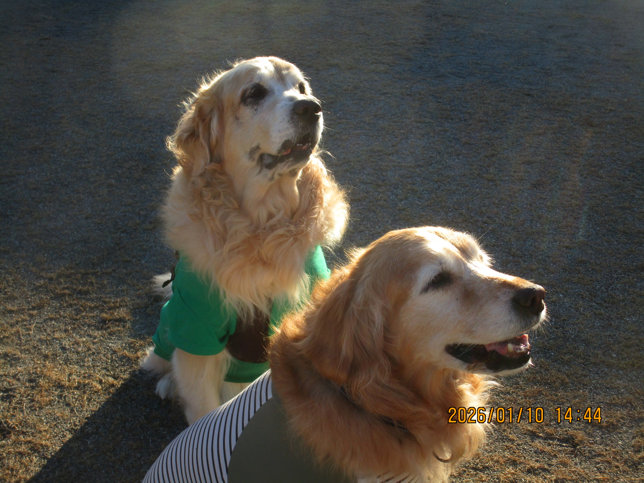 大和くん（Ⅴ）