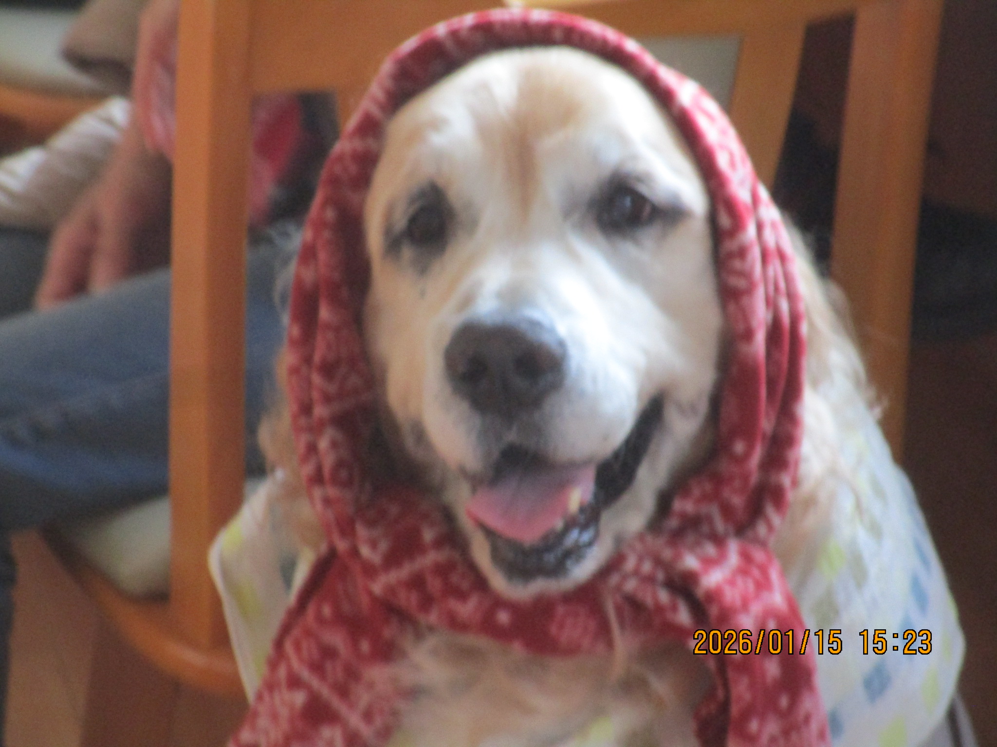 大和くん（Ⅴ）