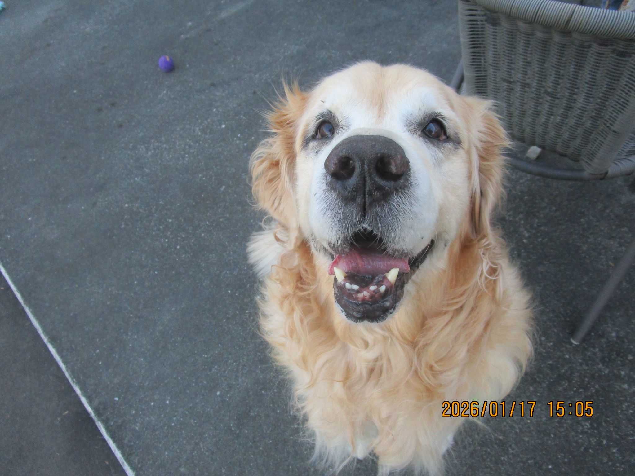 大和くん（Ⅴ）