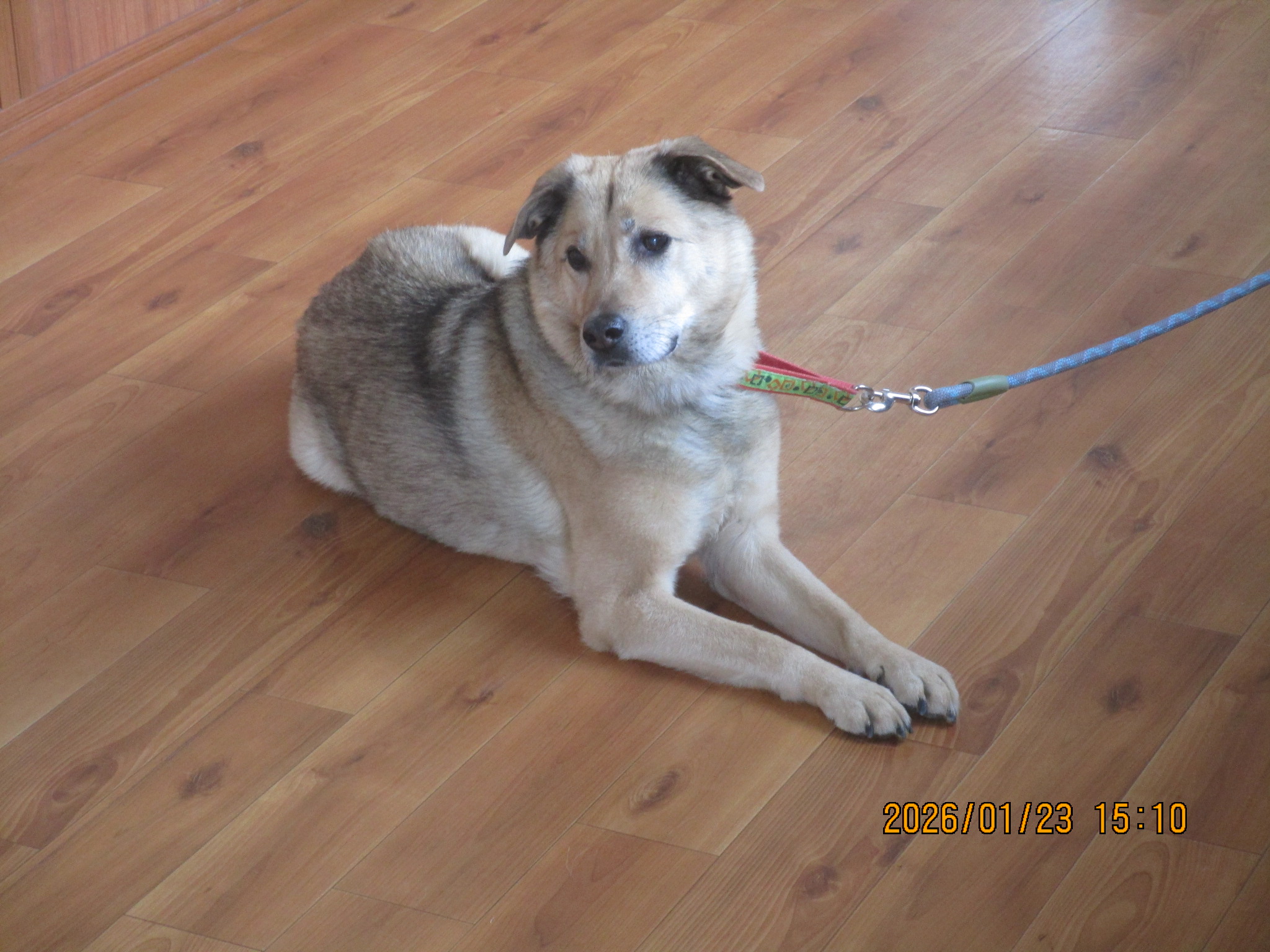 みなとくん（５）