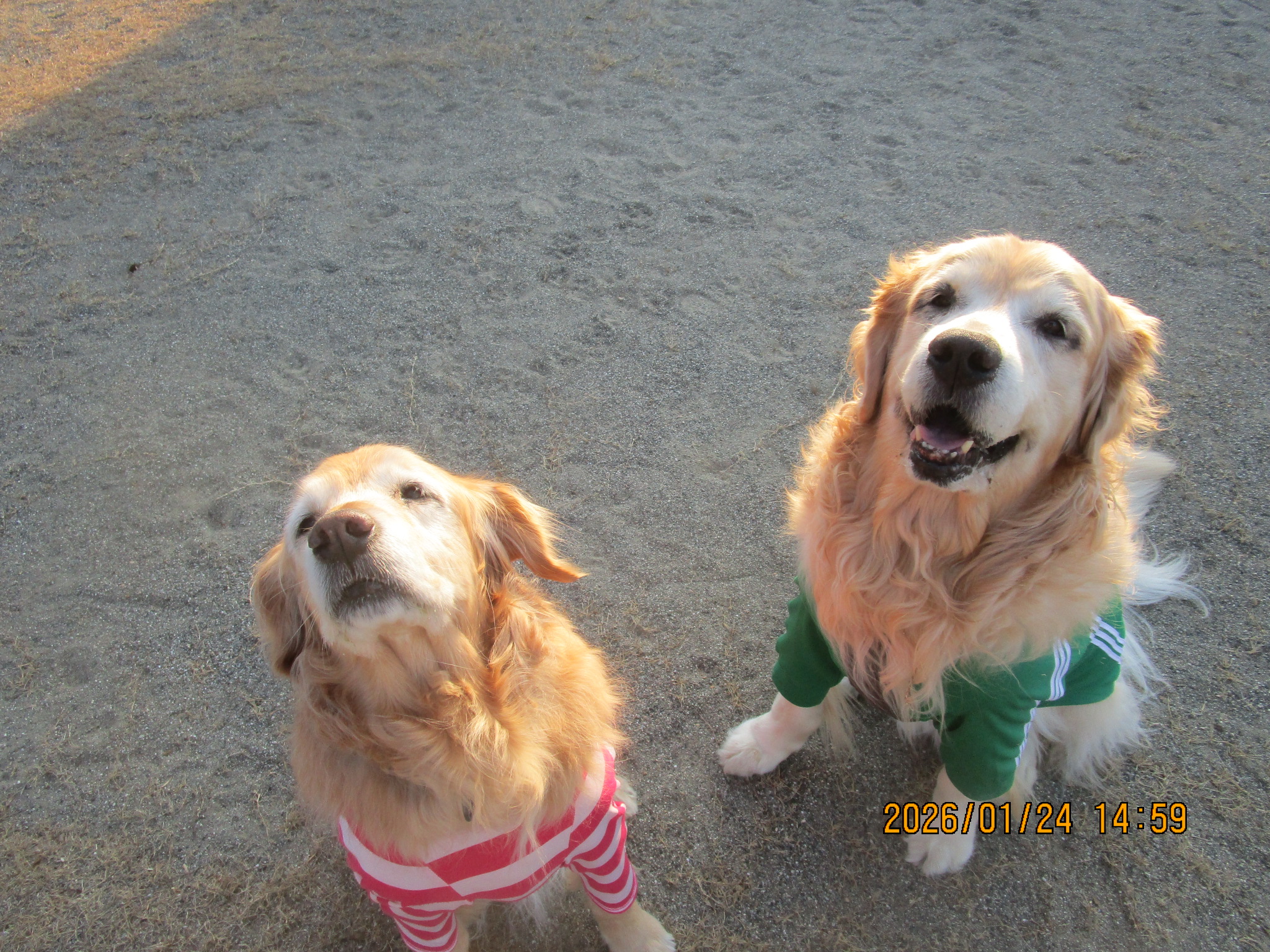 大和くん（Ⅴ）