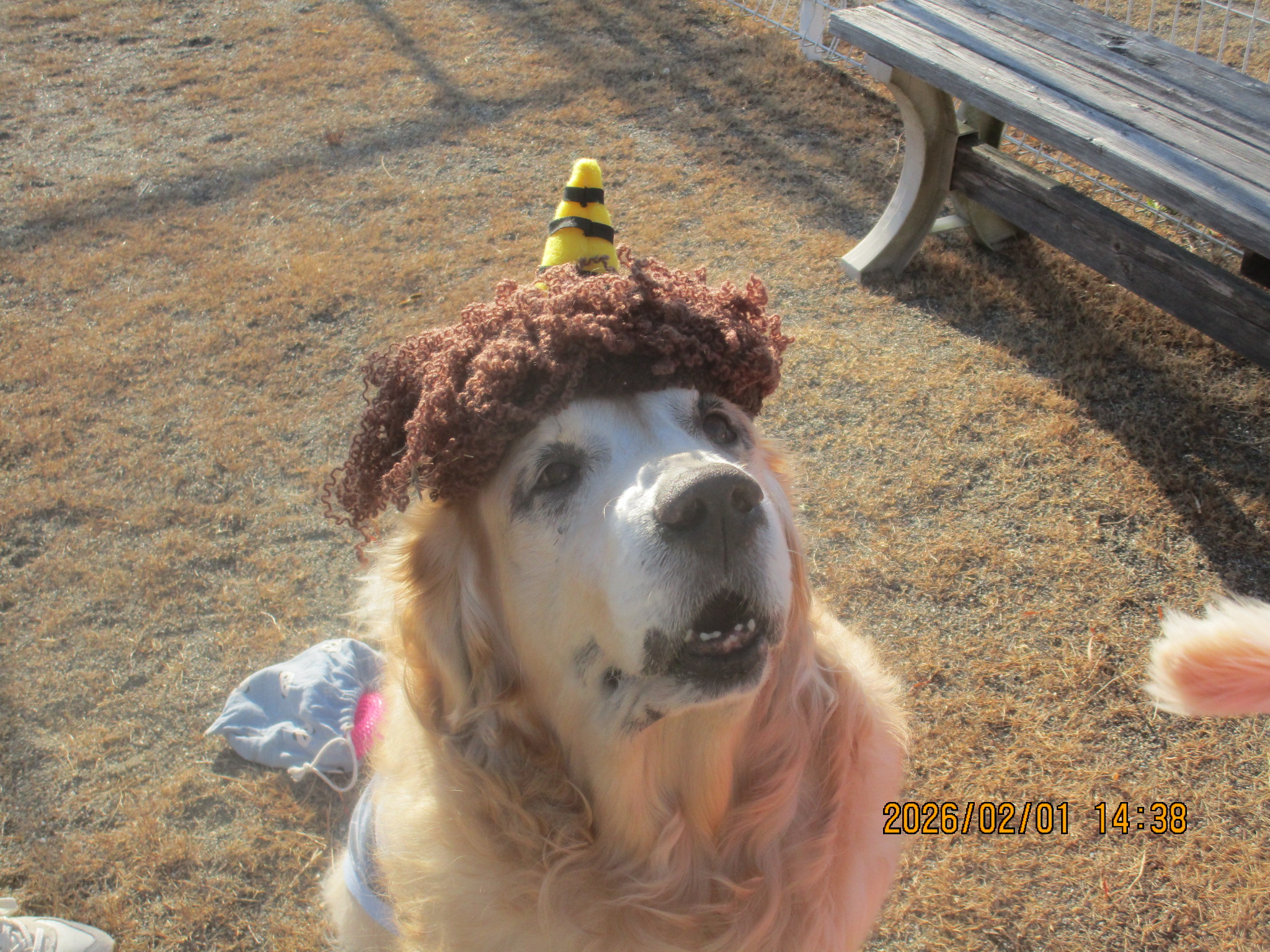 大和くん（Ⅴ）