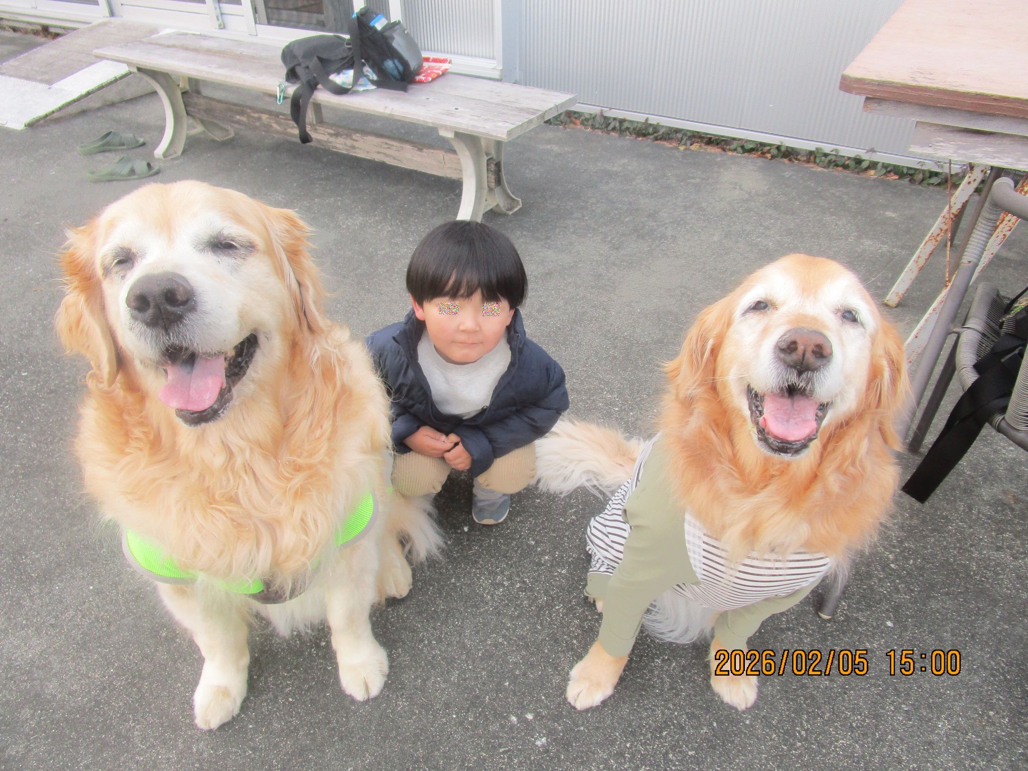 ももちゃん（Ⅴ）