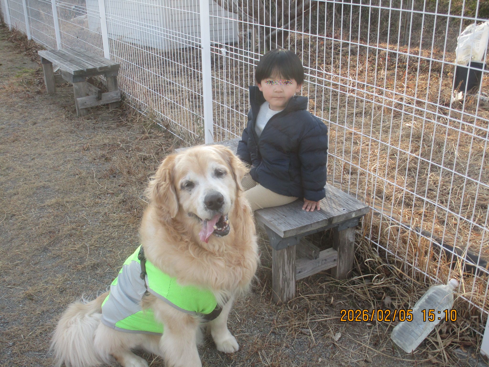 大和くん（Ⅴ）