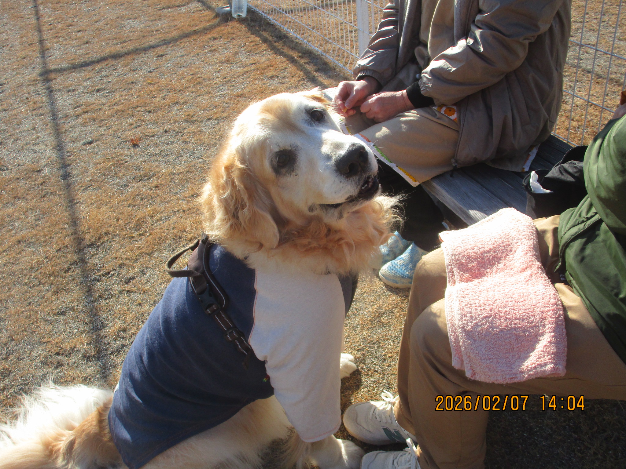 大和くん（Ⅴ）