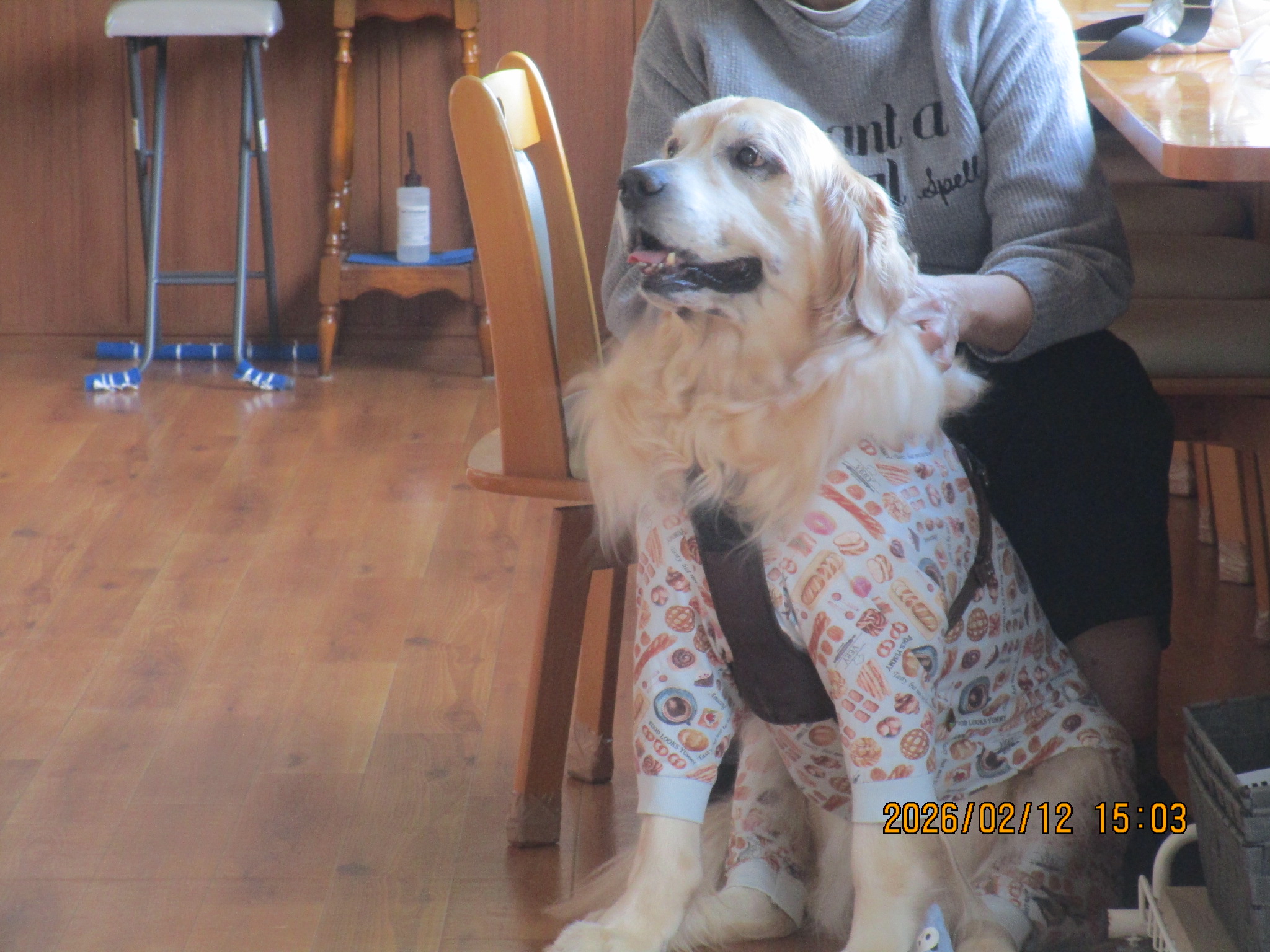 大和くん（Ⅴ）