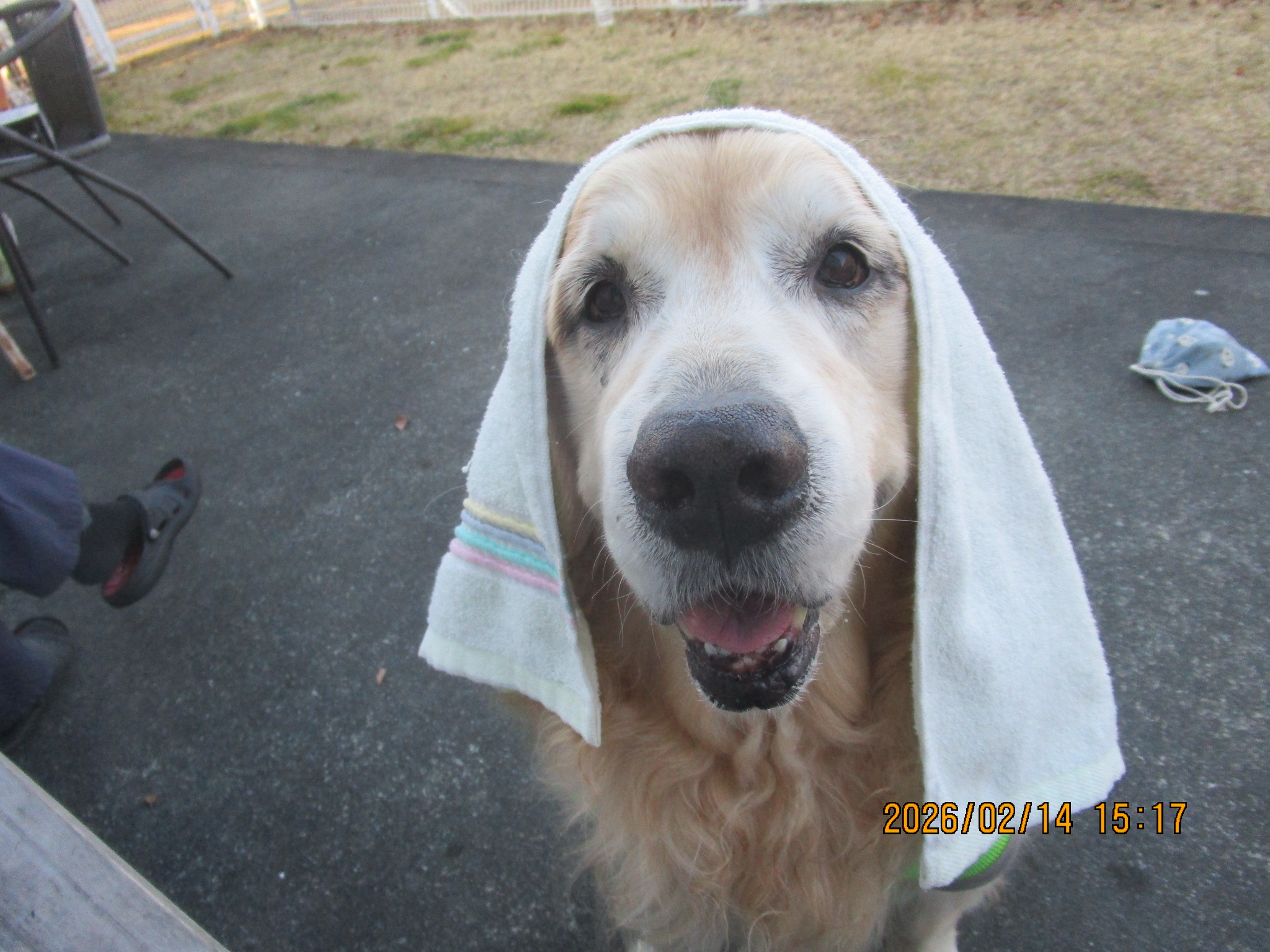 大和くん（Ⅴ）